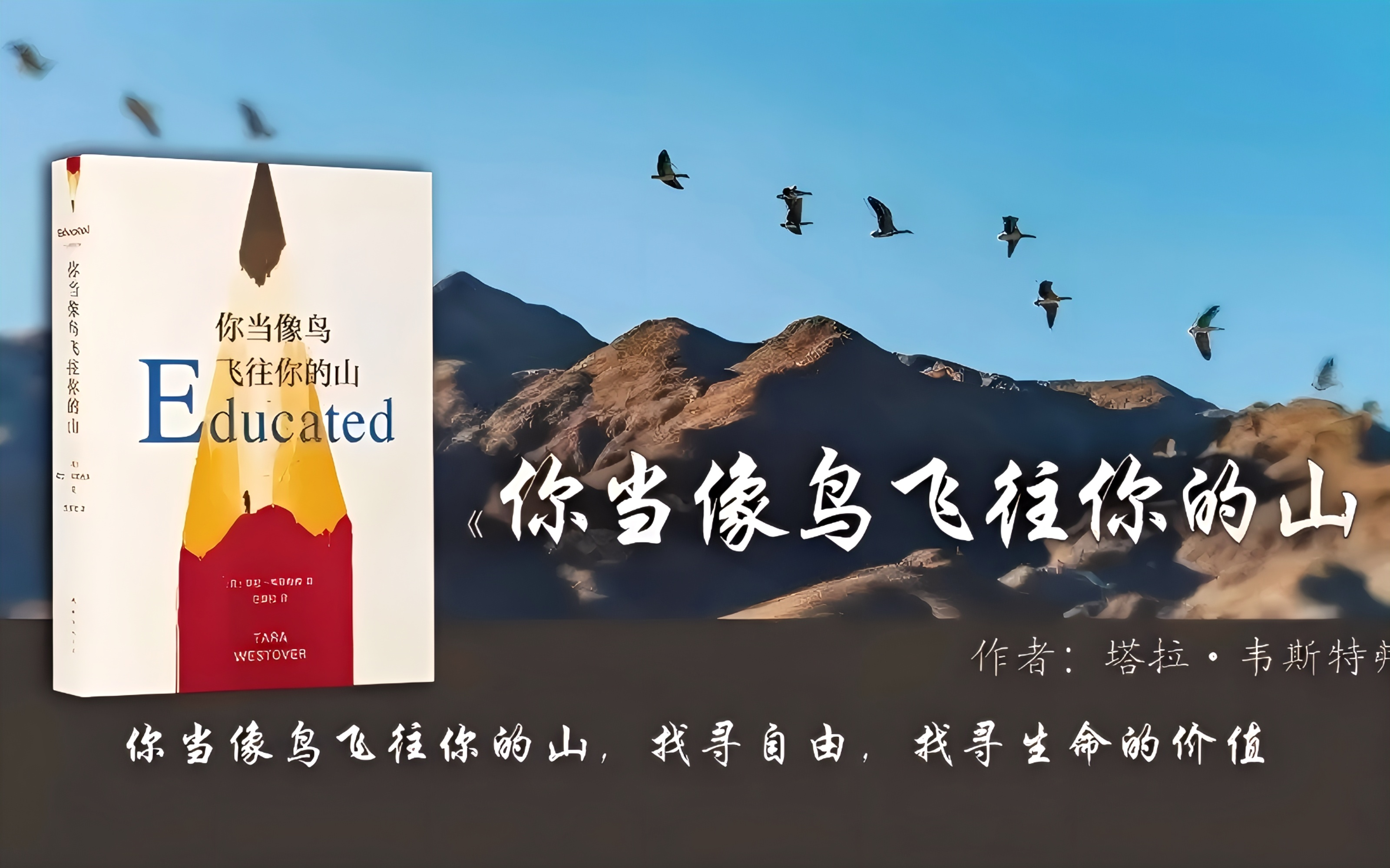 品书蕴哲思,绽华彩光芒 -读《你当像鸟飞往你的山》书籍有感 品书蕴哲思,绽华彩光芒 -读《你当像鸟飞往你的山》书籍有感