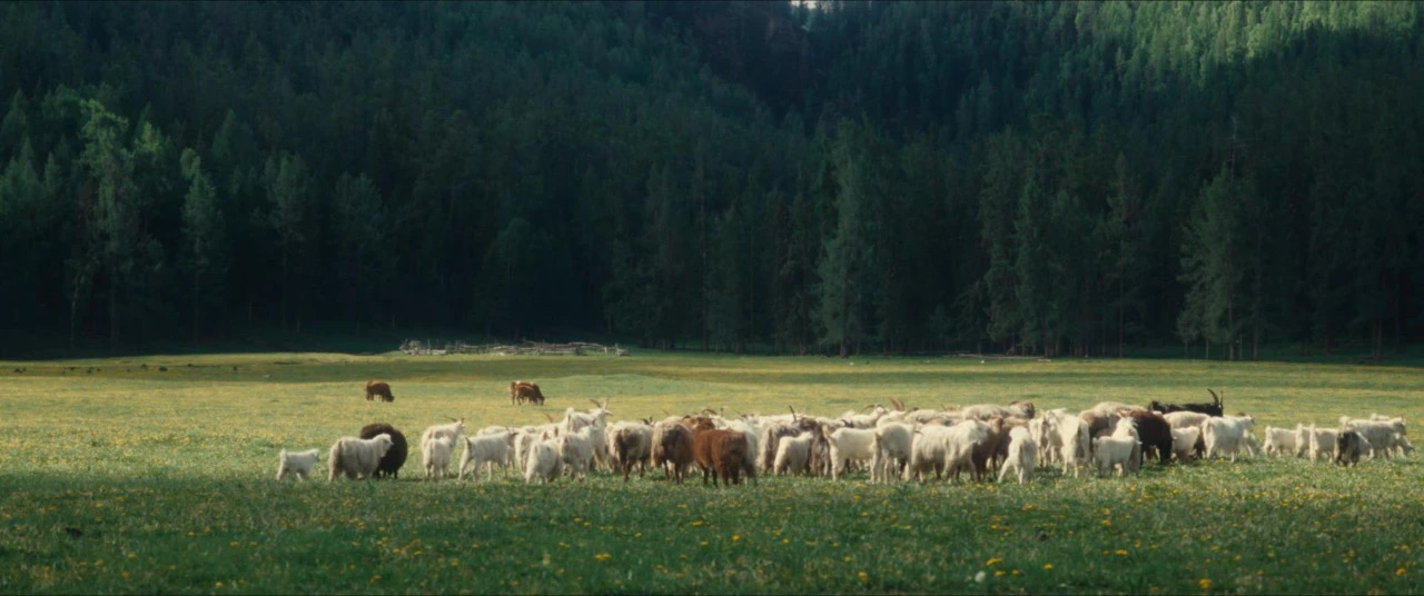 春天,我与读书有个约定 春天,我与读书有个约定