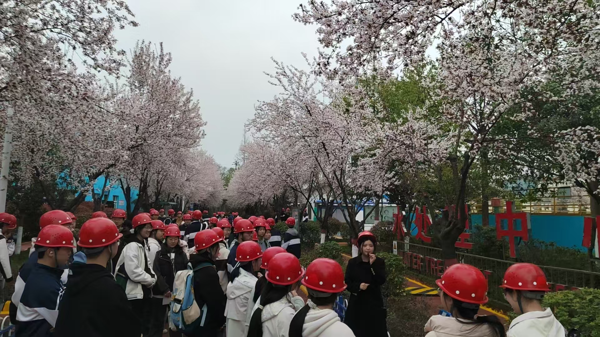 武侯中学百余名学生到公司参观研学