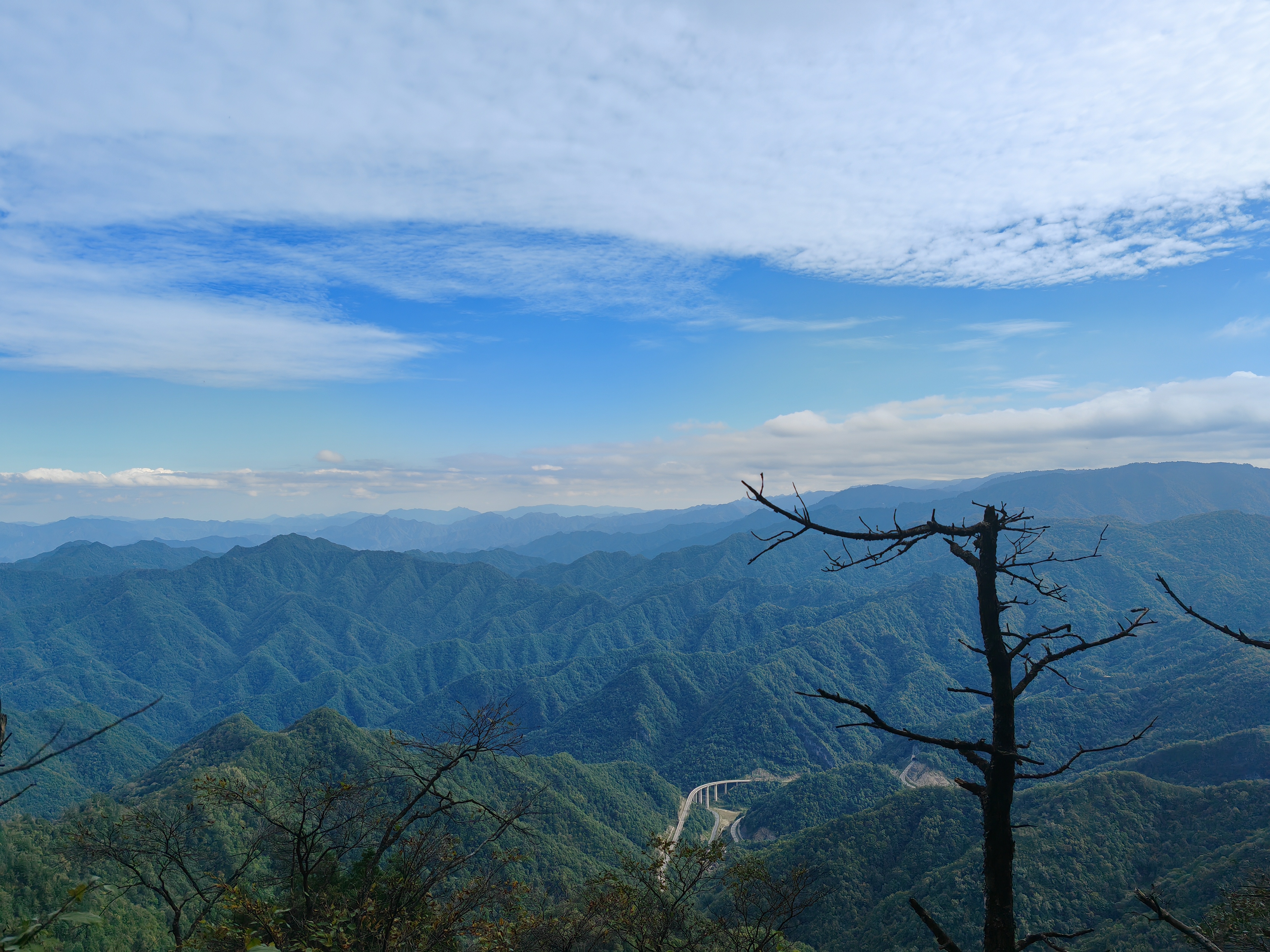 清明遥祭:寸心寄相思 清明遥祭:寸心寄相思