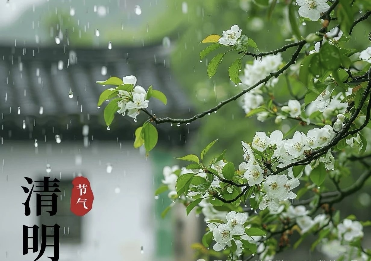 清明:追思与新生的交响 清明:追思与新生的交响