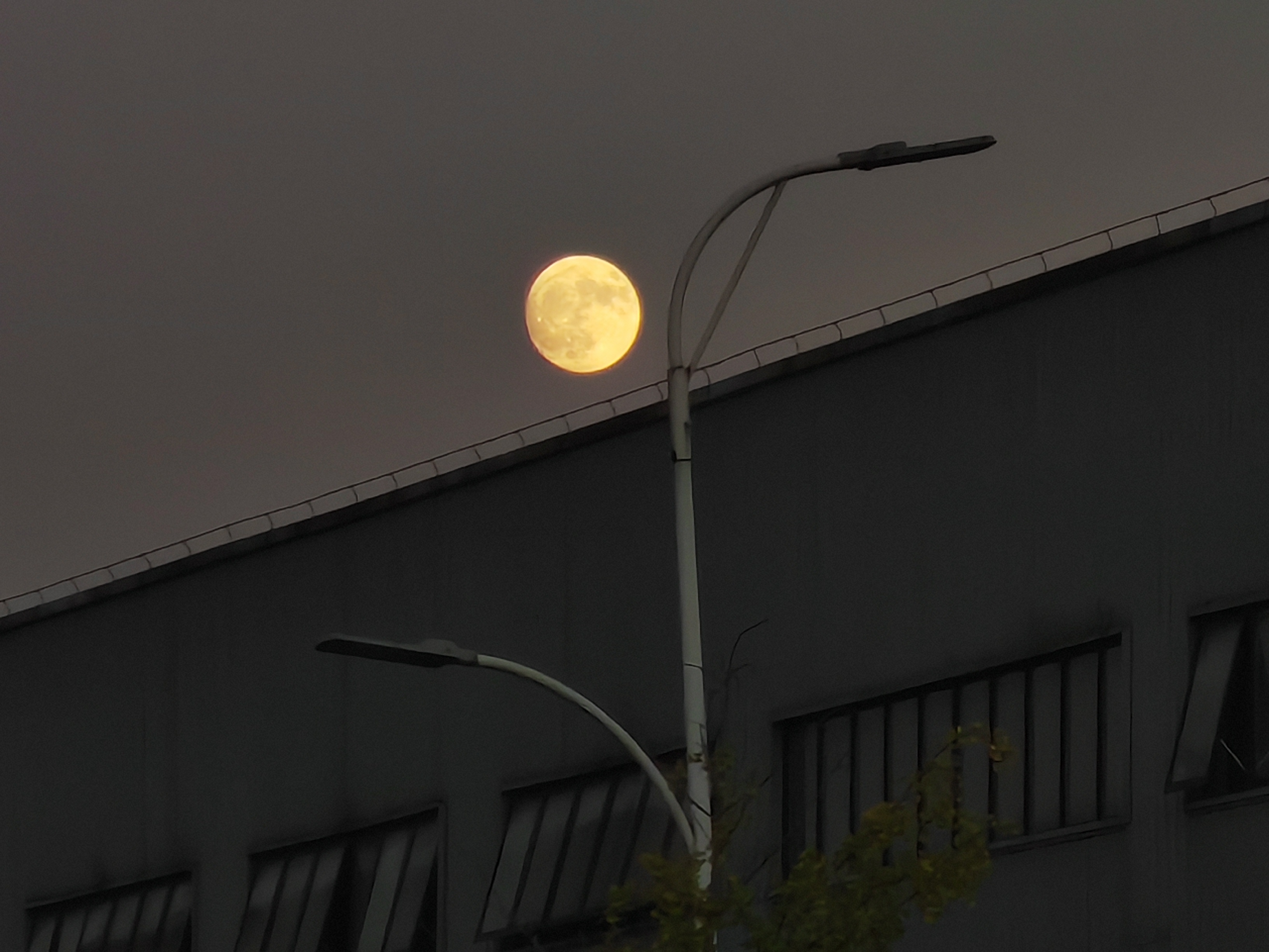 清明遥祭:寸心寄相思 清明遥祭:寸心寄相思