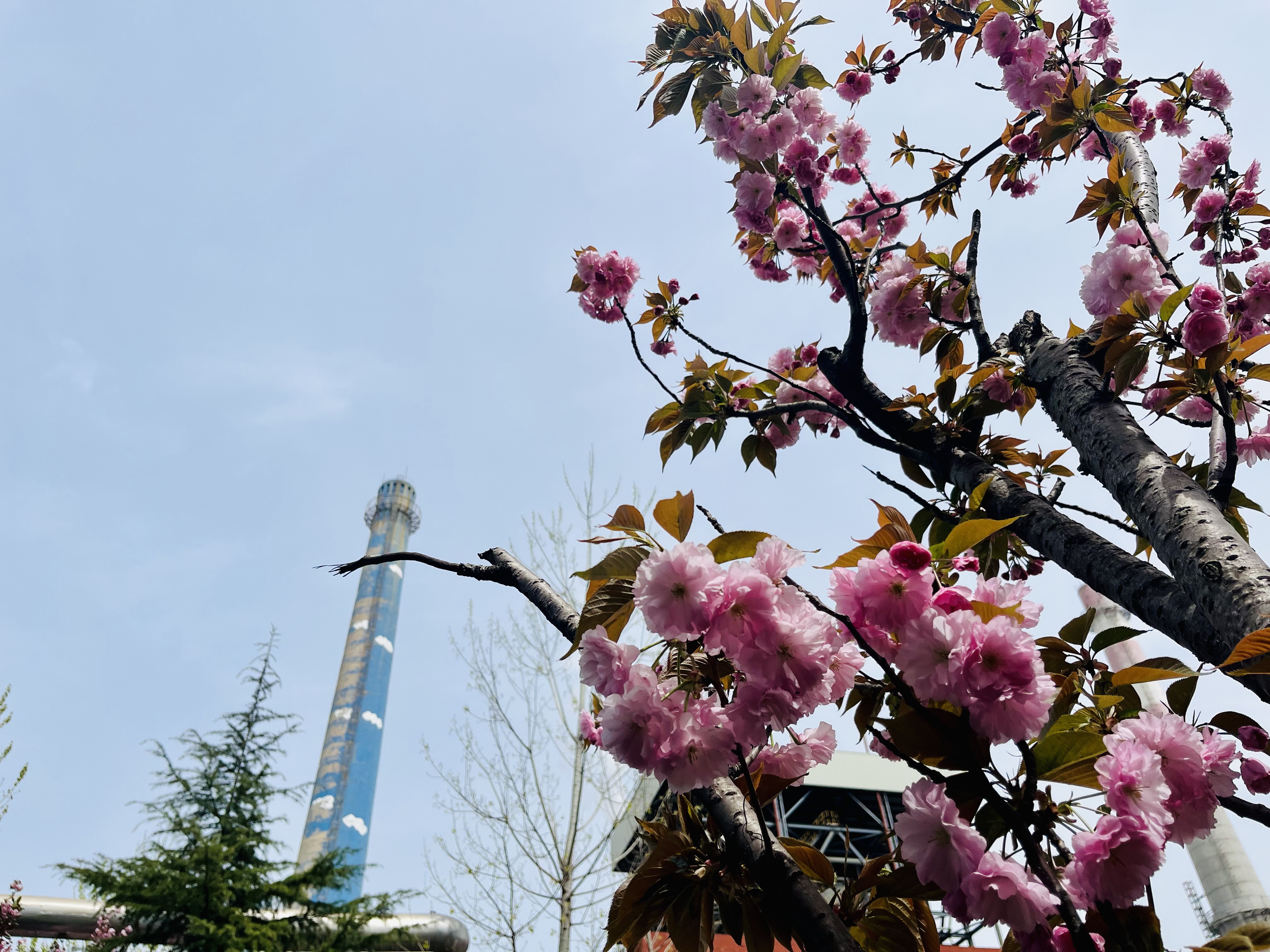 钢城春语 钢城春语