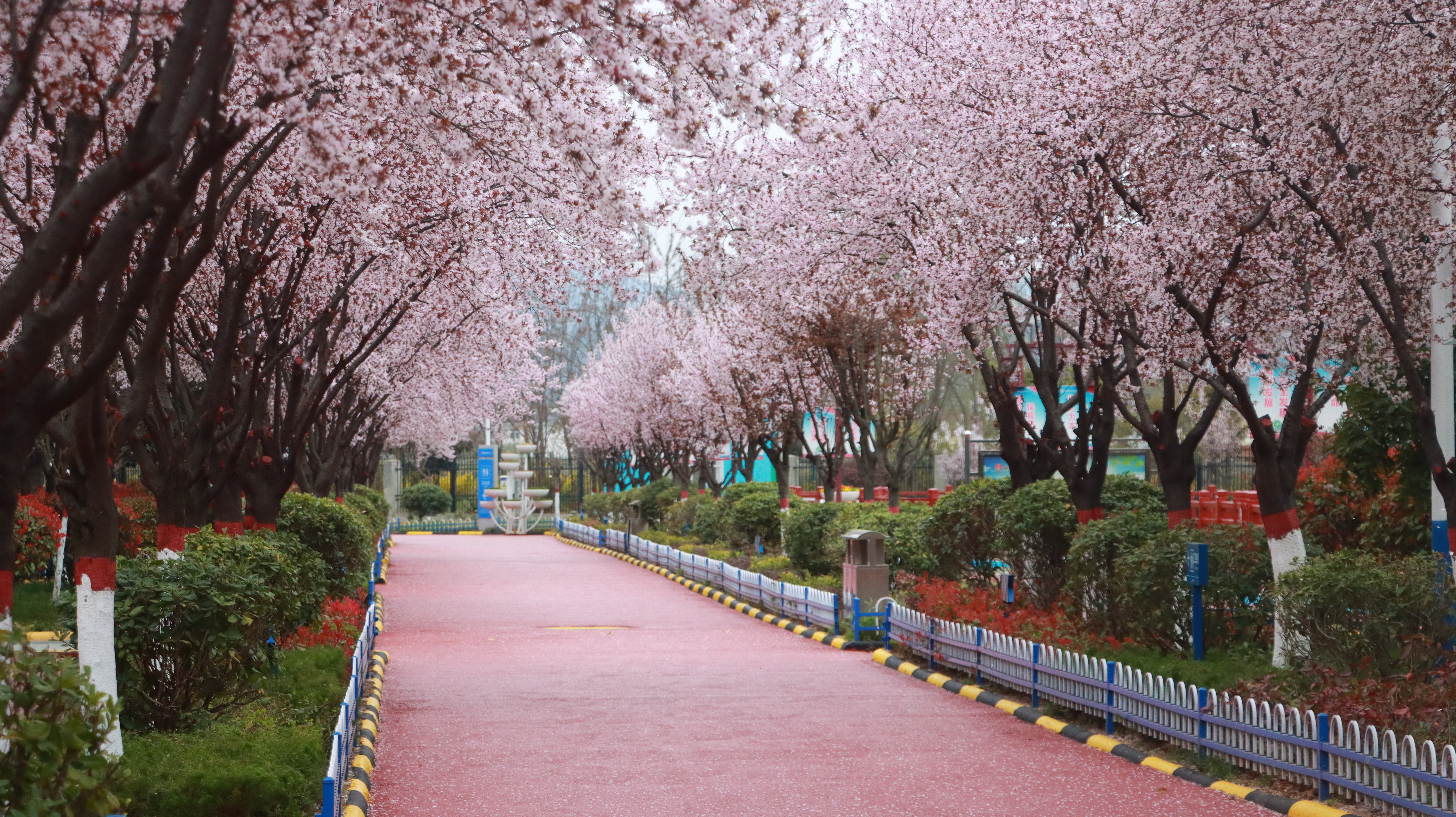 藏在治水、节水里的“智慧经”
