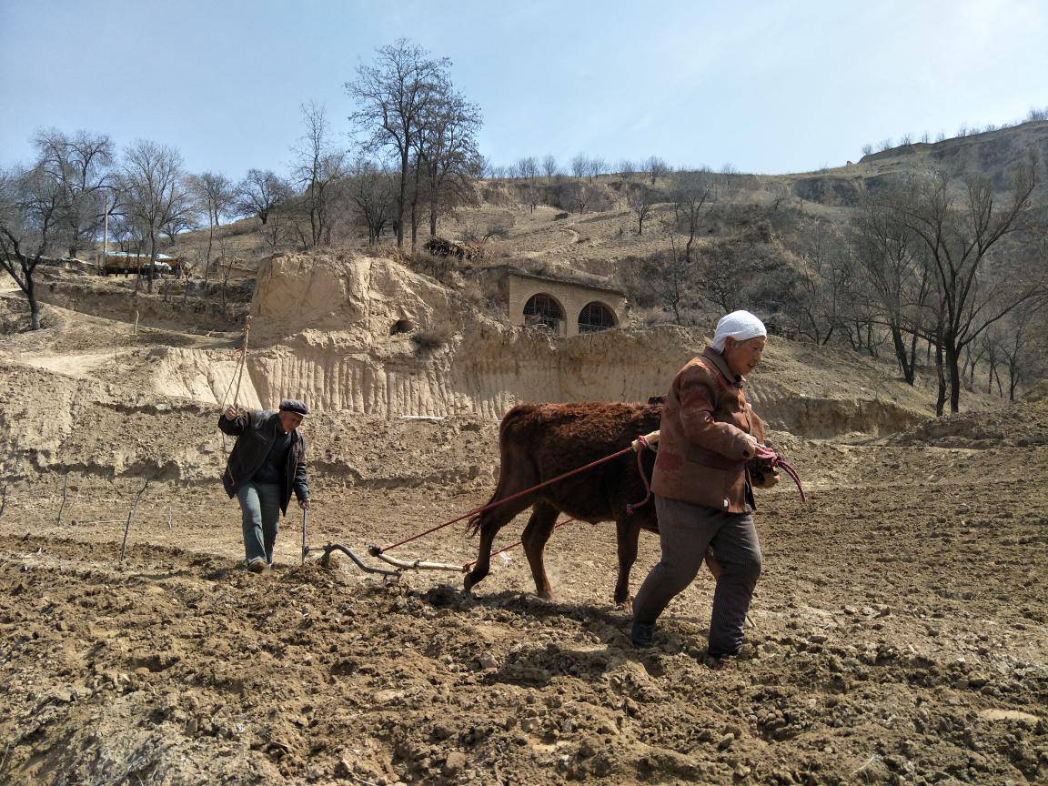 与兄书陕北辞话序 与兄书陕北辞话序