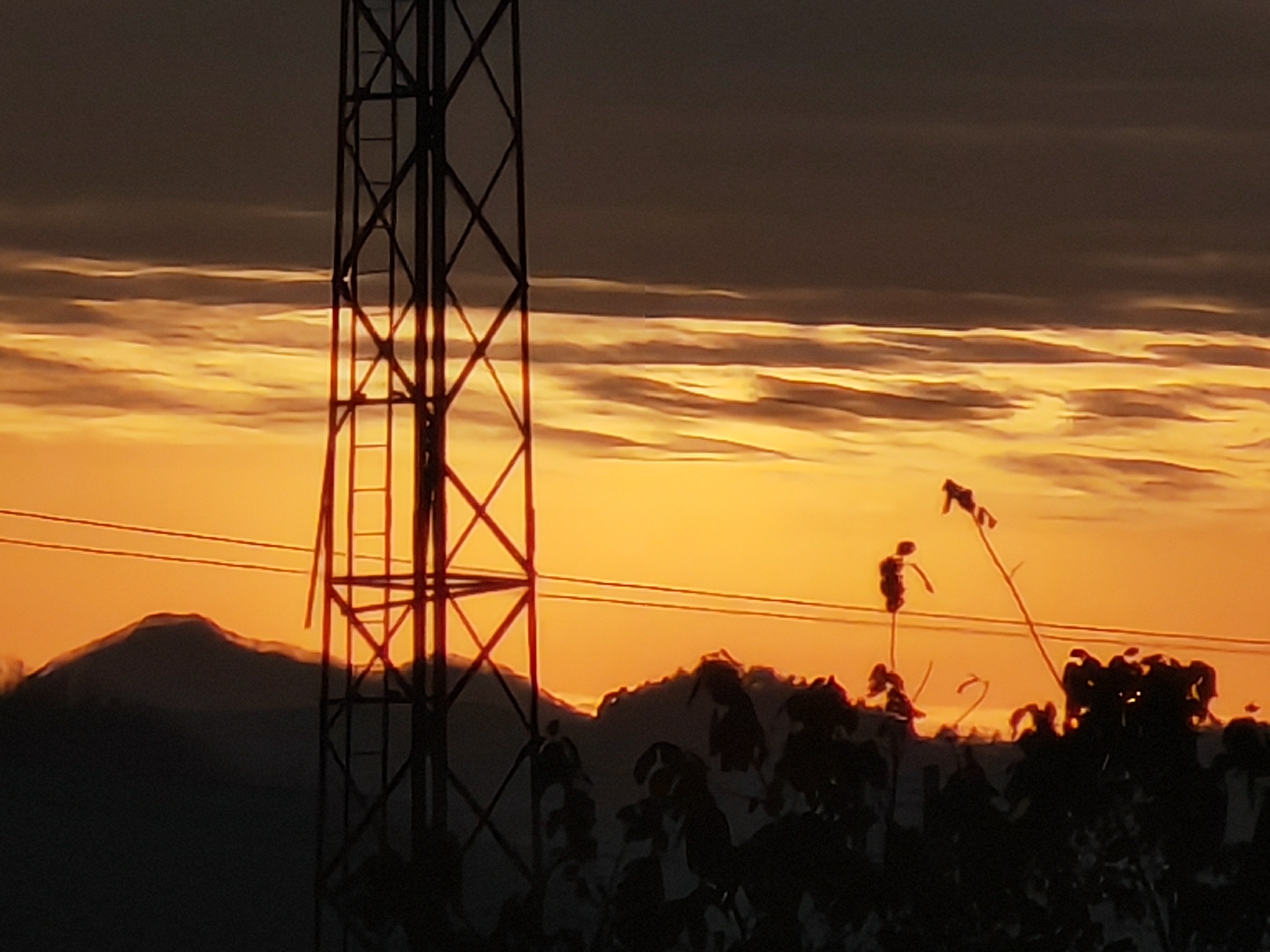 逐日的旅程 逐日的旅程