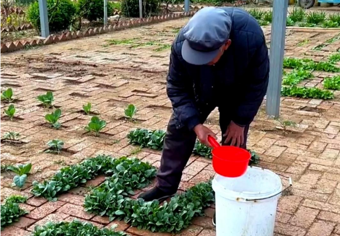 五月剪影,温暖人间 五月剪影,温暖人间