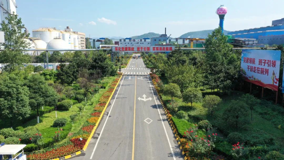 这是春吗?这不是春 这是春吗?这不是春