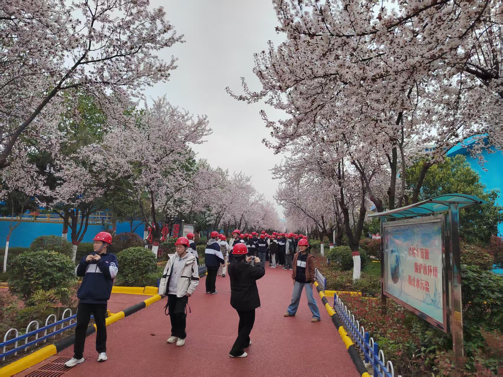 乘研学东风，观钢铁之美——陕钢集团汉钢公司今春研学已超2000人