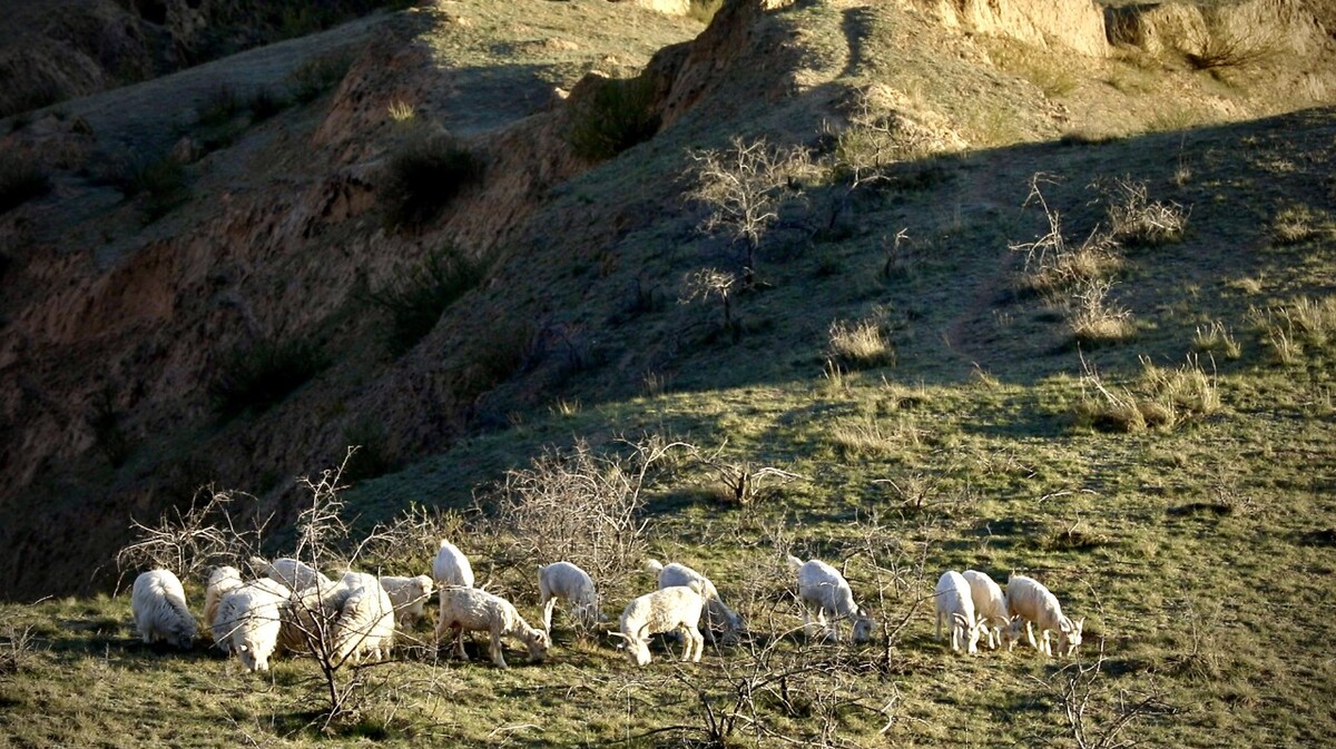 幸福用勤劳书写 幸福用勤劳书写
