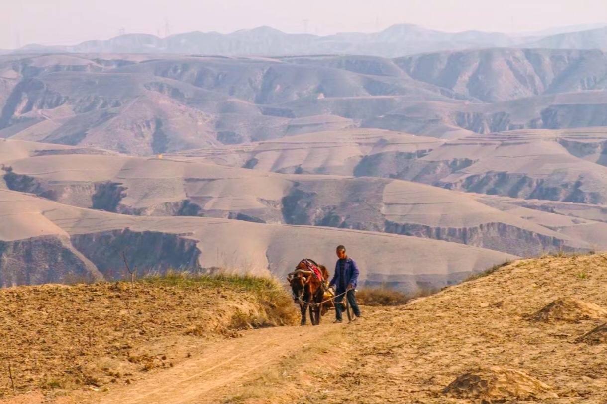 幸福用勤劳书写 幸福用勤劳书写