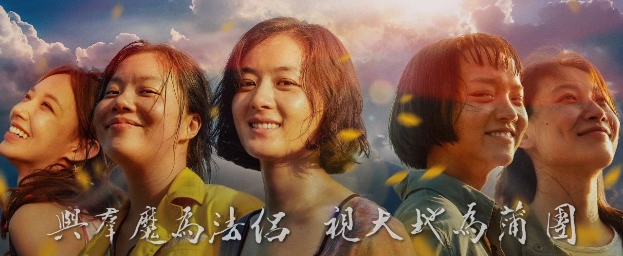 向阳而生，无畏绽放-观《向阳花》有感