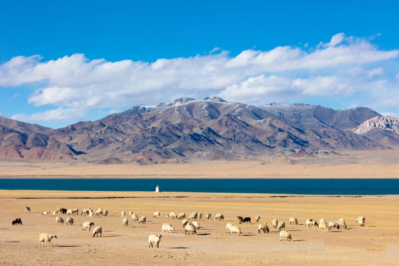 独向旷野处,心归寂静时 独向旷野处,心归寂静时