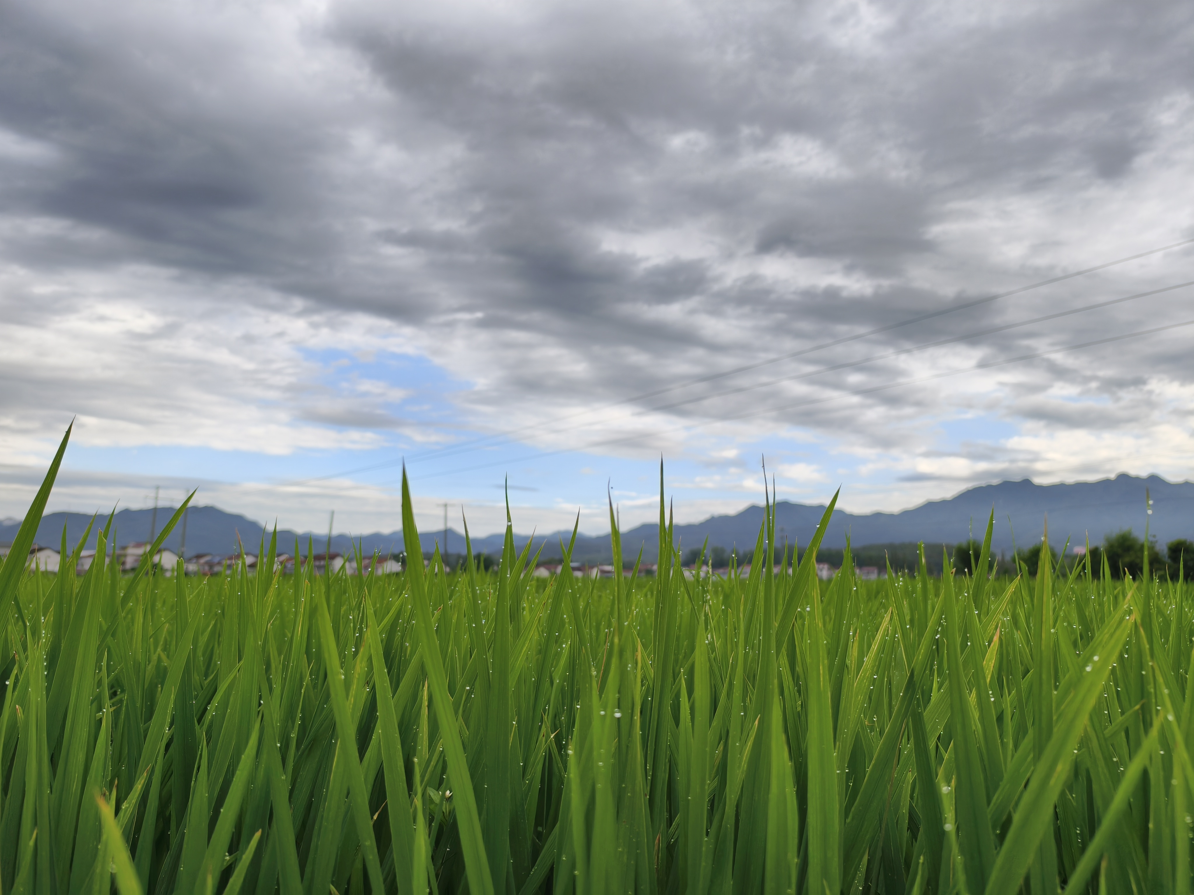 车轮碾过暑光,心栖田野清风 车轮碾过暑光,心栖田野清风