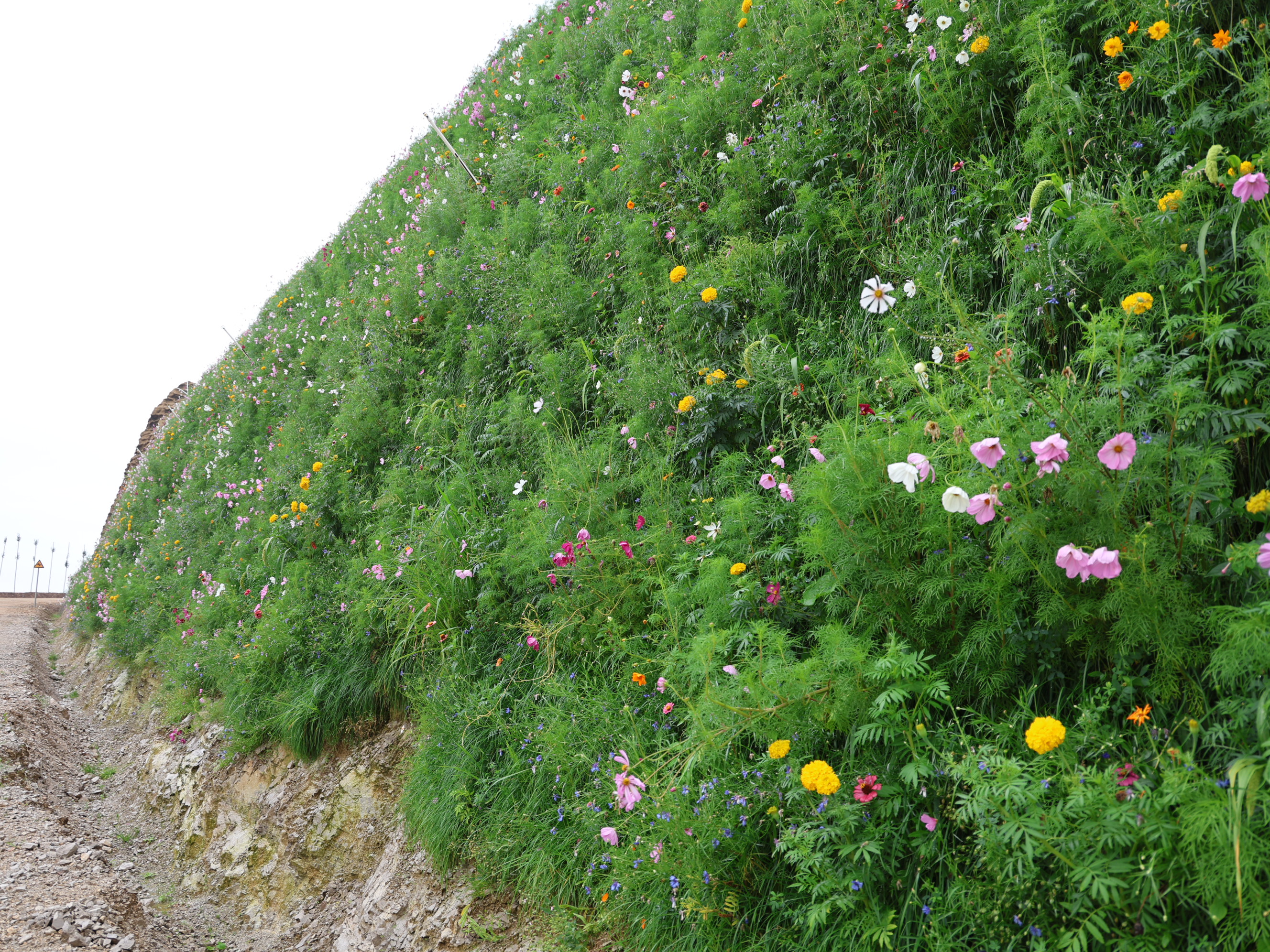 逐绿而生  向绿而行  开启绿色矿山建设新篇章