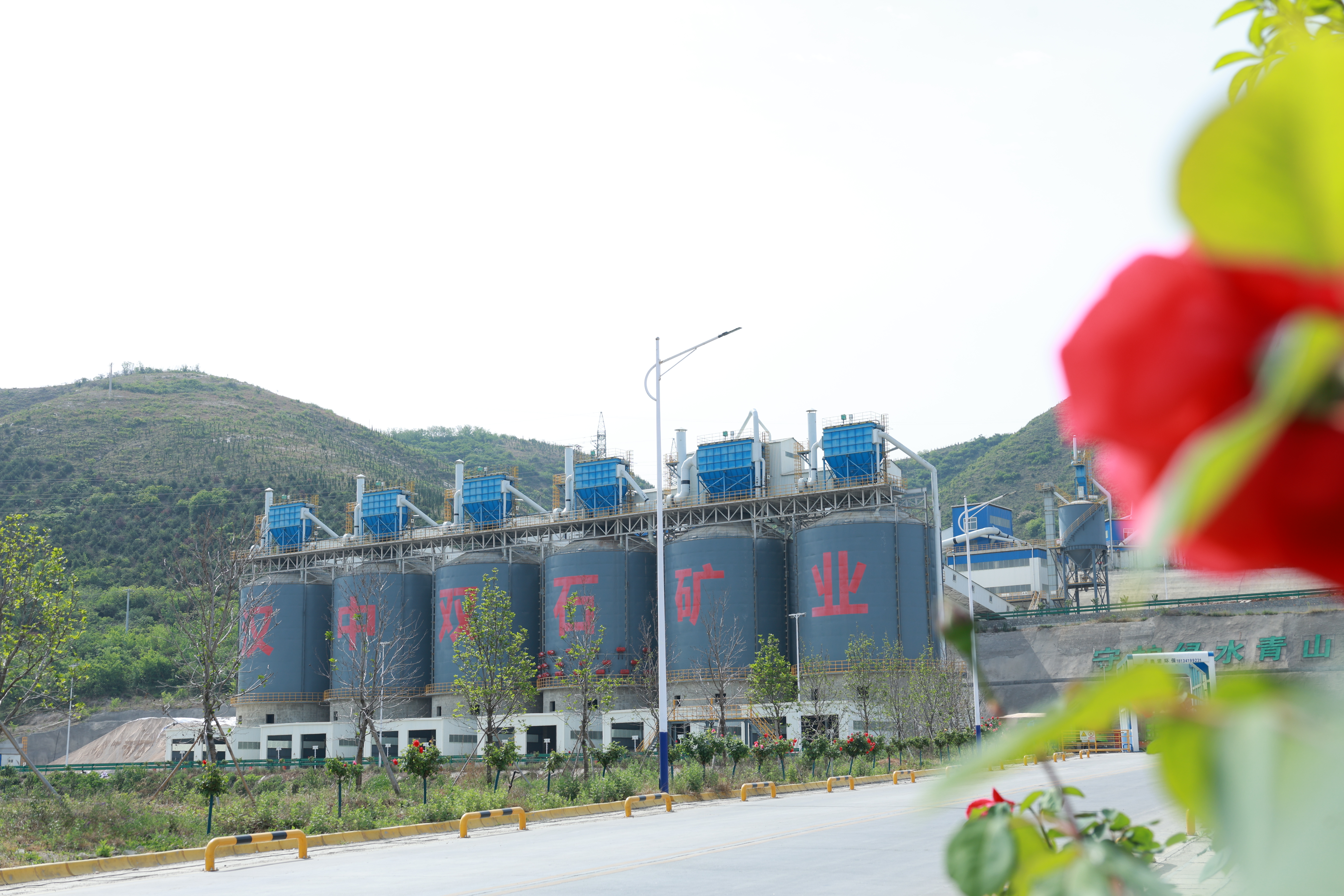 逐绿而生  向绿而行  开启绿色矿山建设新篇章