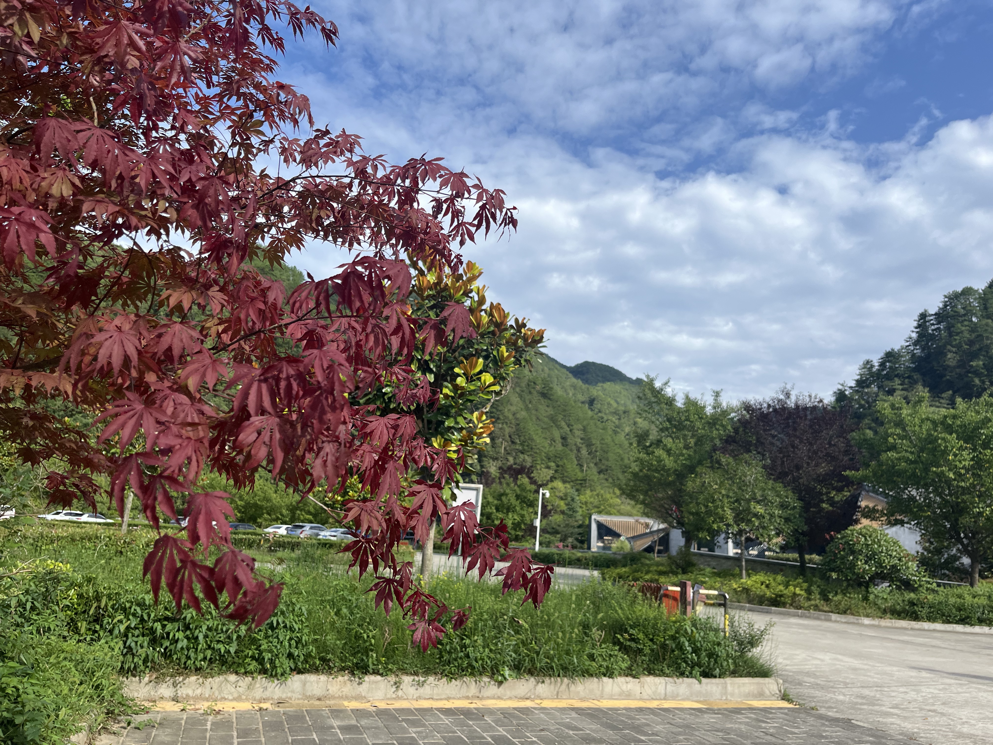 九月启航季 九月启航季