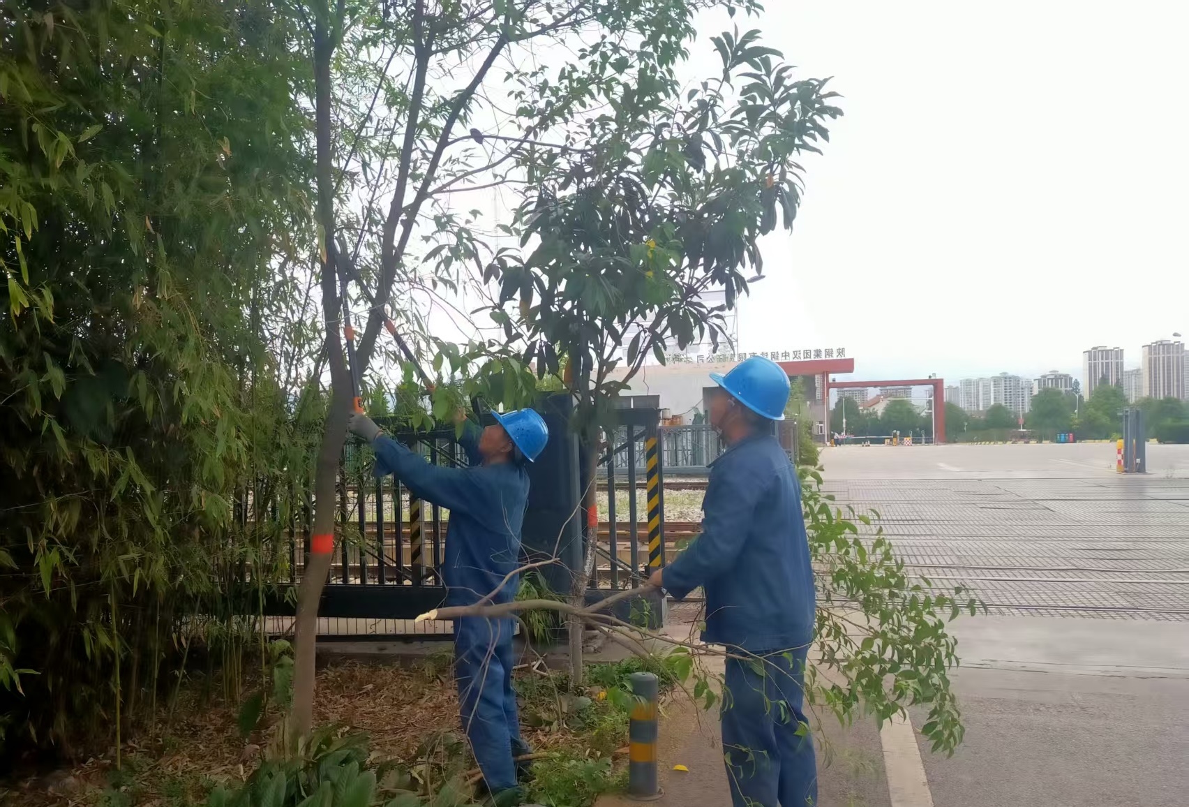 明责任强沟通  守护绿色钢城