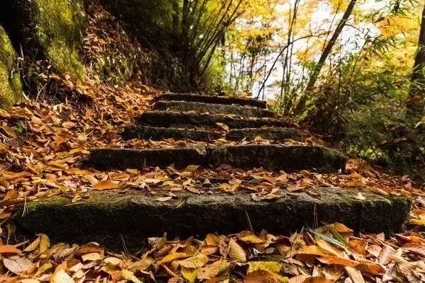 一寺一山水,一秋一云雾 一寺一山水,一秋一云雾