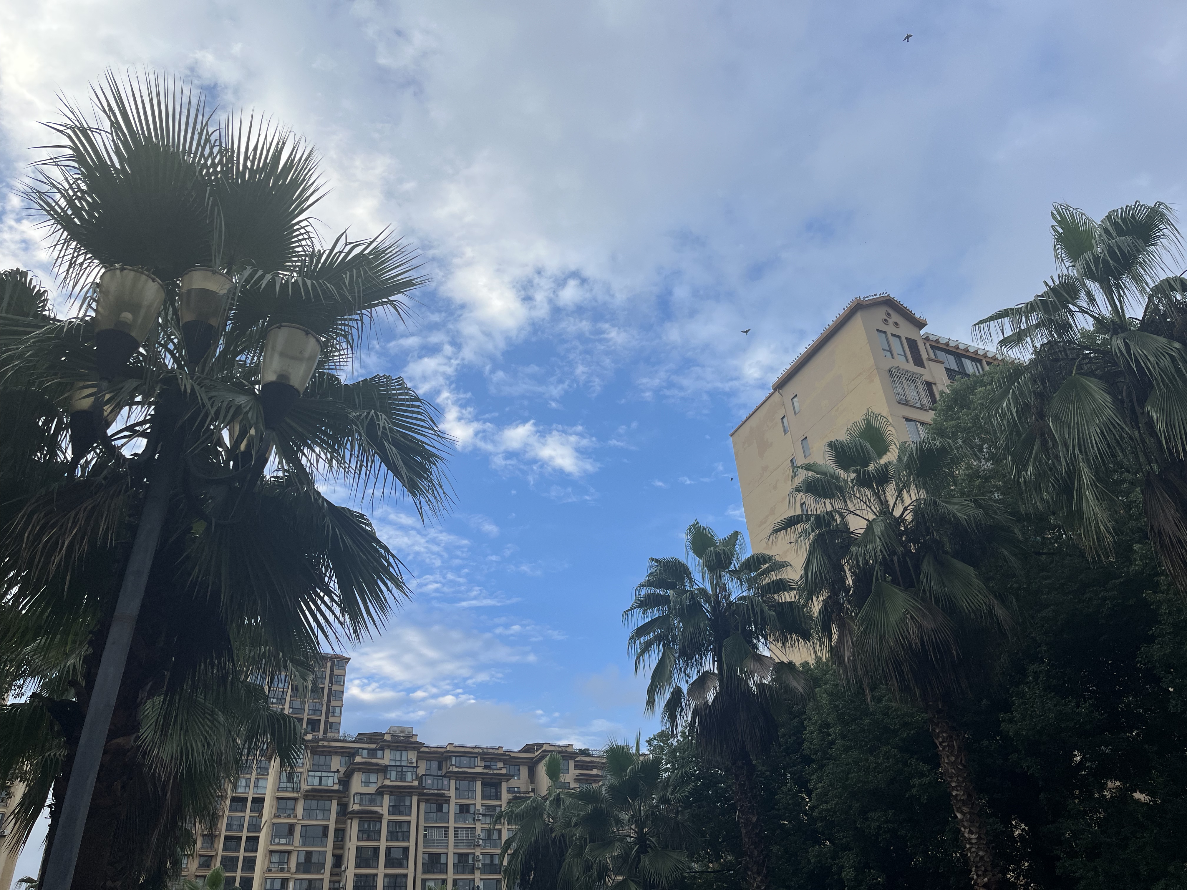 雨霁初晴 雨霁初晴