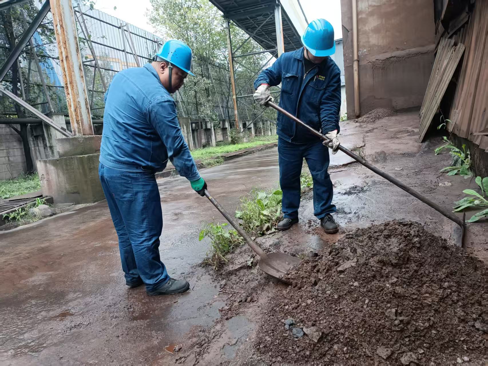 瞧!雨季的粮仓守护者 瞧!雨季的粮仓守护者