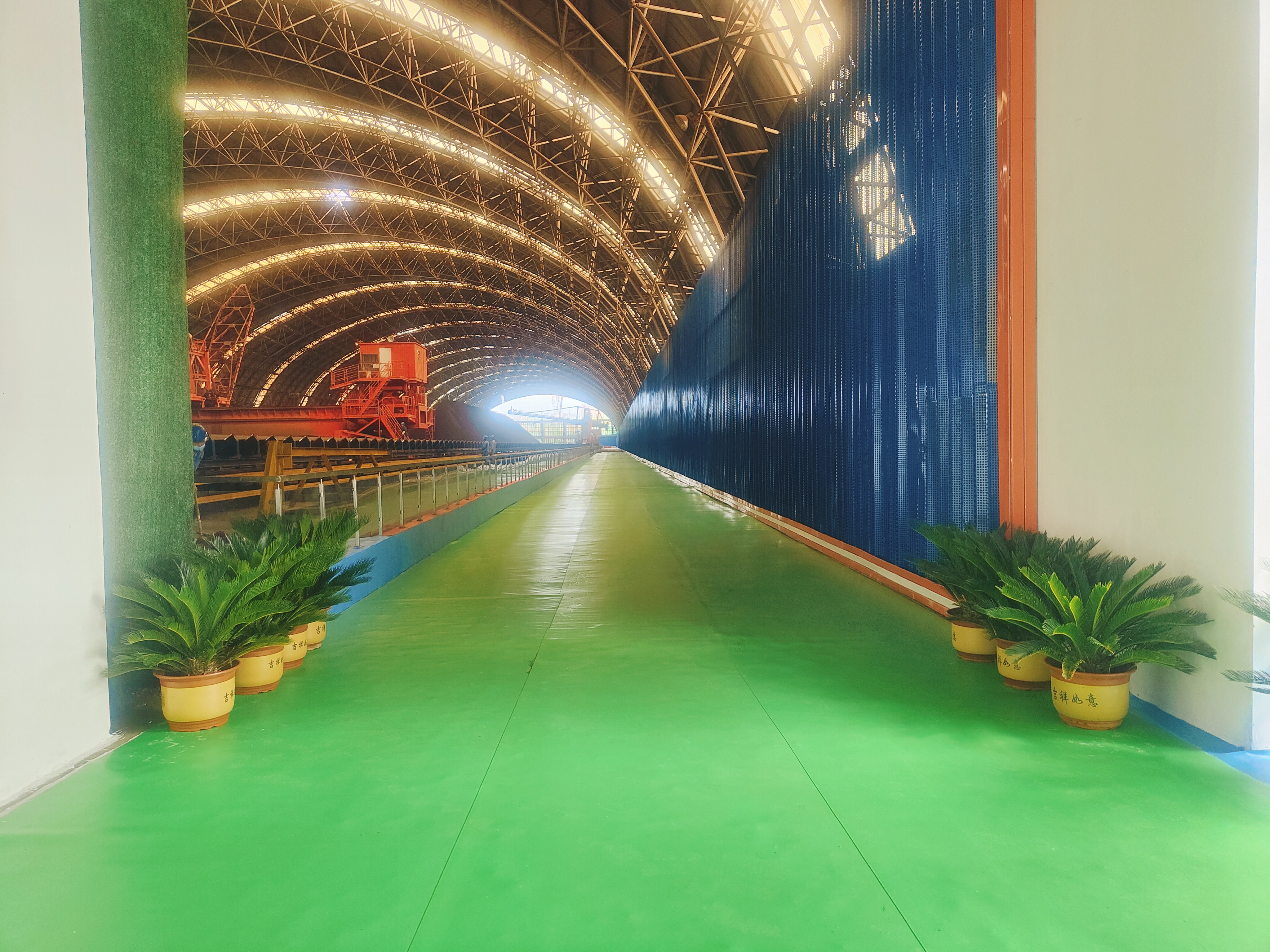 激活“绿肺” 强劲“低碳脉搏”