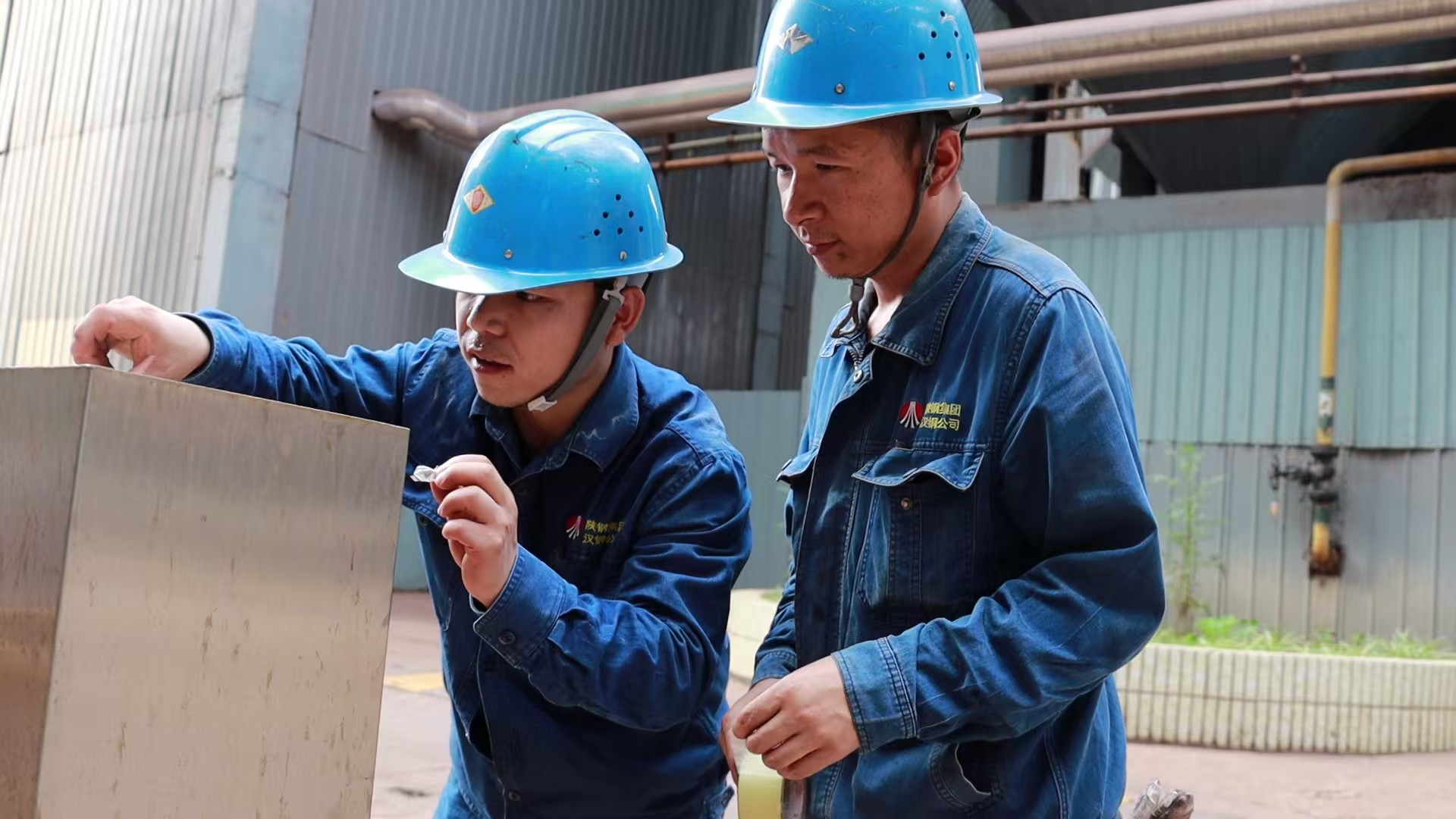 激活“绿肺” 强劲“低碳脉搏” 激活“绿肺” 强劲“低碳脉搏”