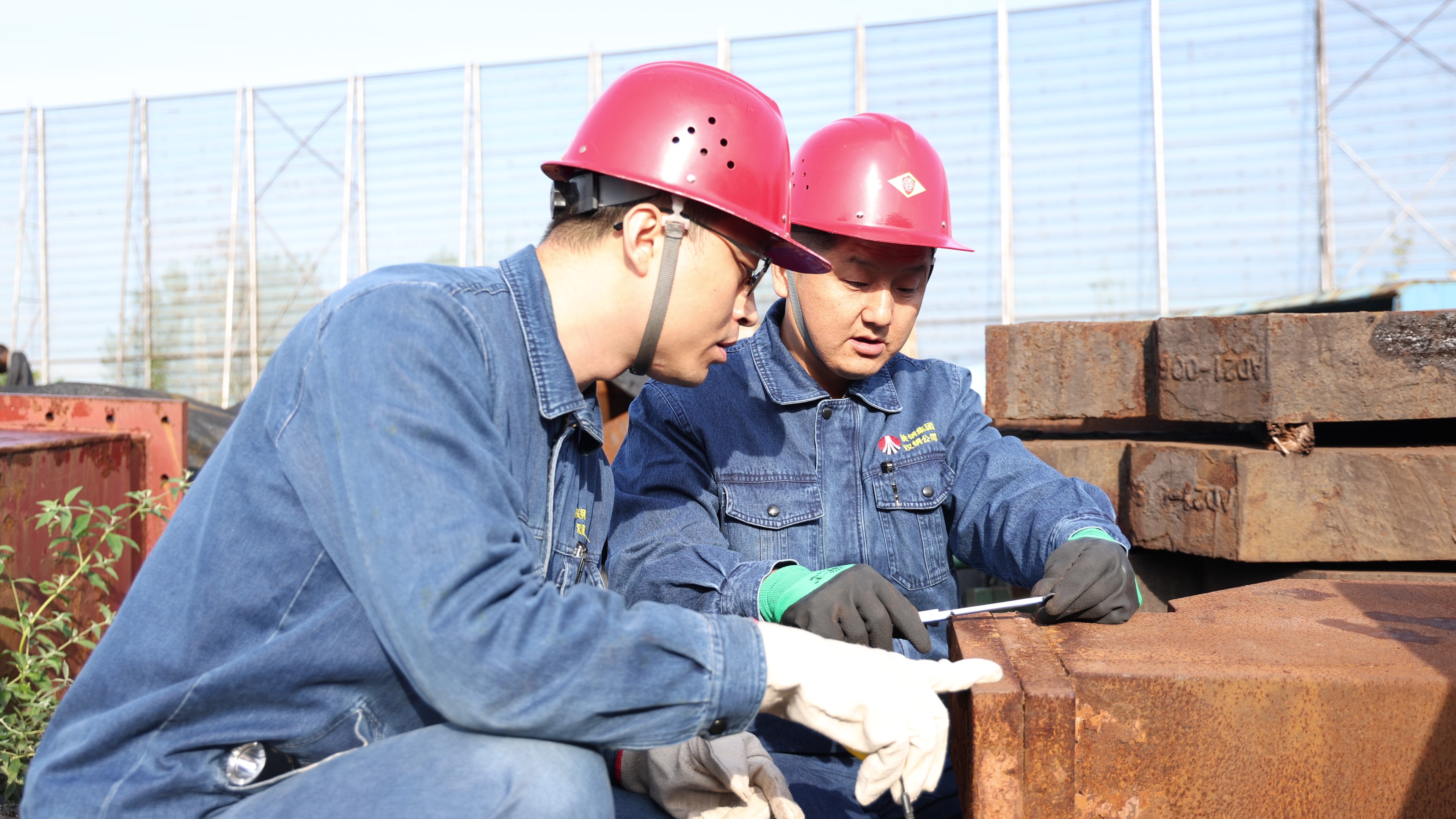 激活“绿肺” 强劲“低碳脉搏” 激活“绿肺” 强劲“低碳脉搏”