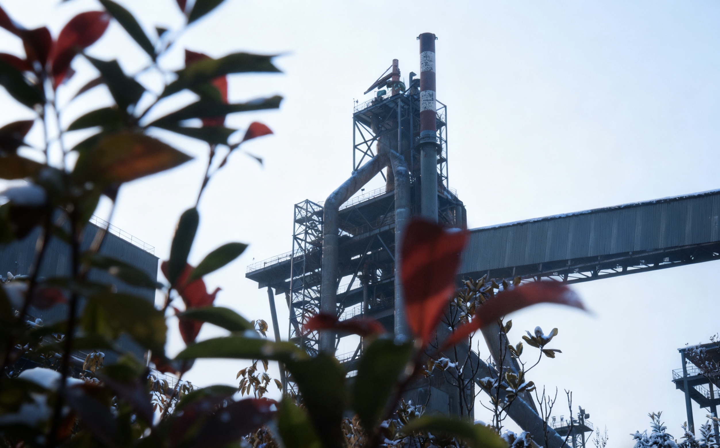 钢城初冬的金韵 钢城初冬的金韵