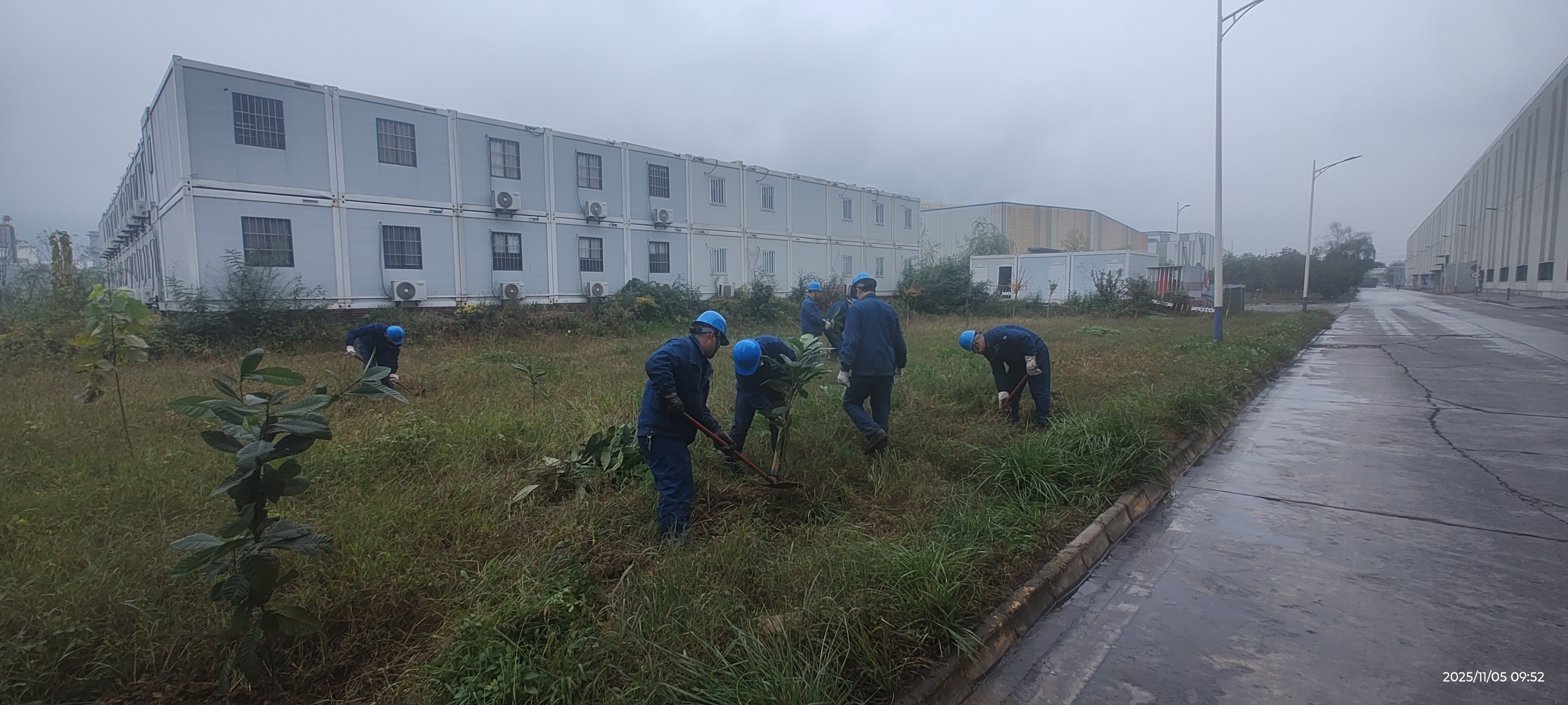 以“零成本”模式完成秋季绿化攻坚 以“零成本”模式完成秋季绿化攻坚