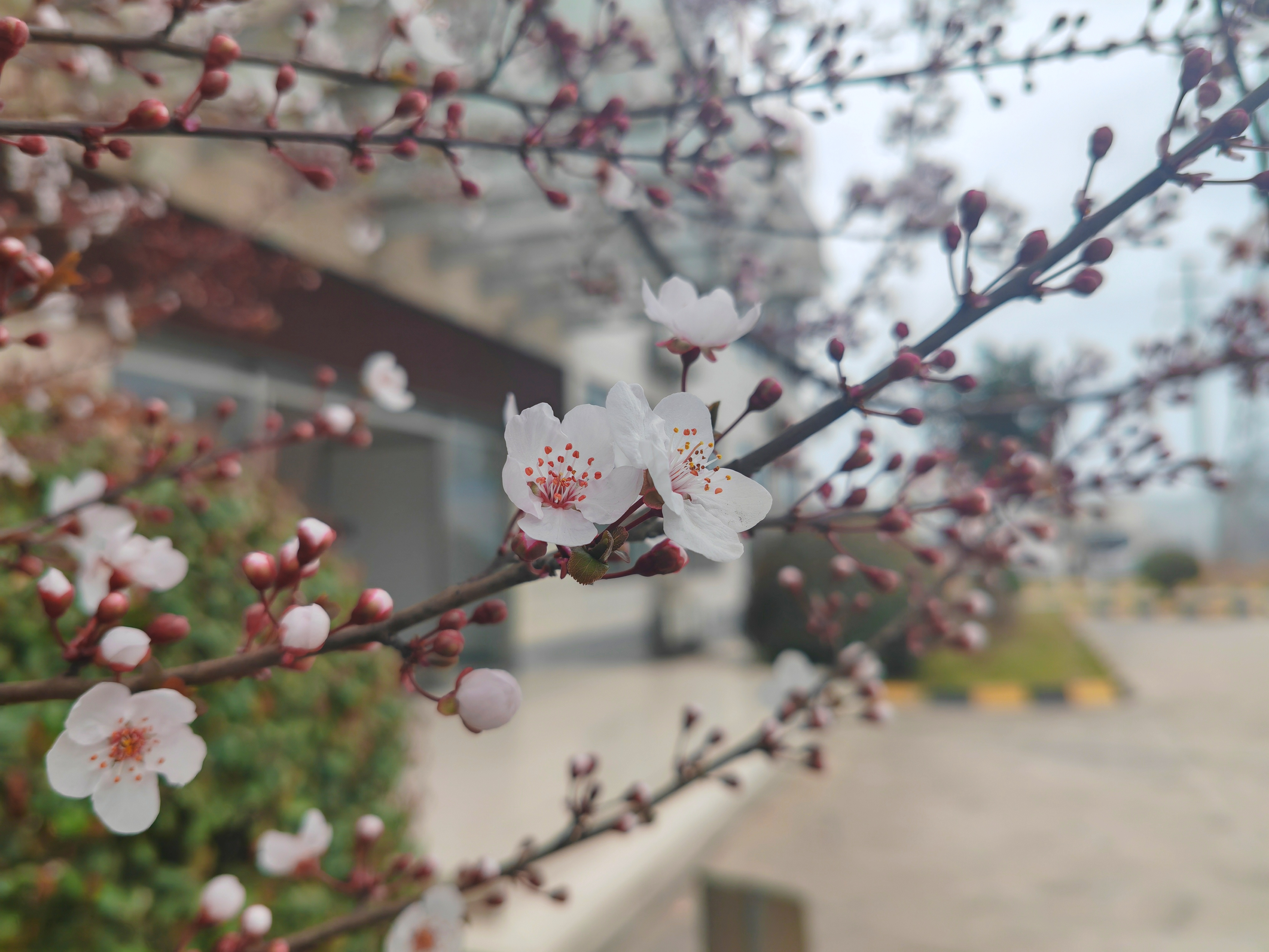 春雷启万象，阳气润平生                                      ——致春日里向上的我们