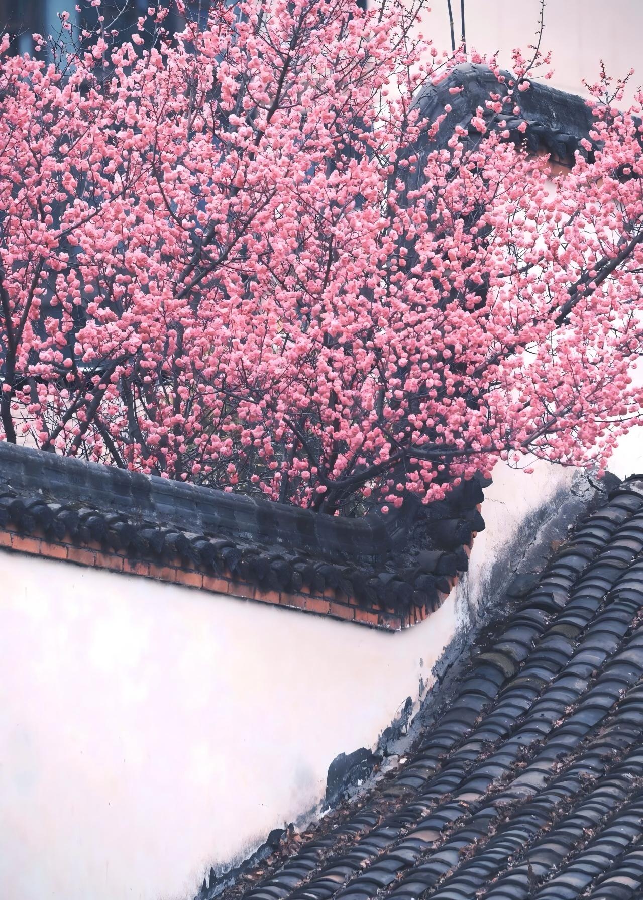 春讯 春讯