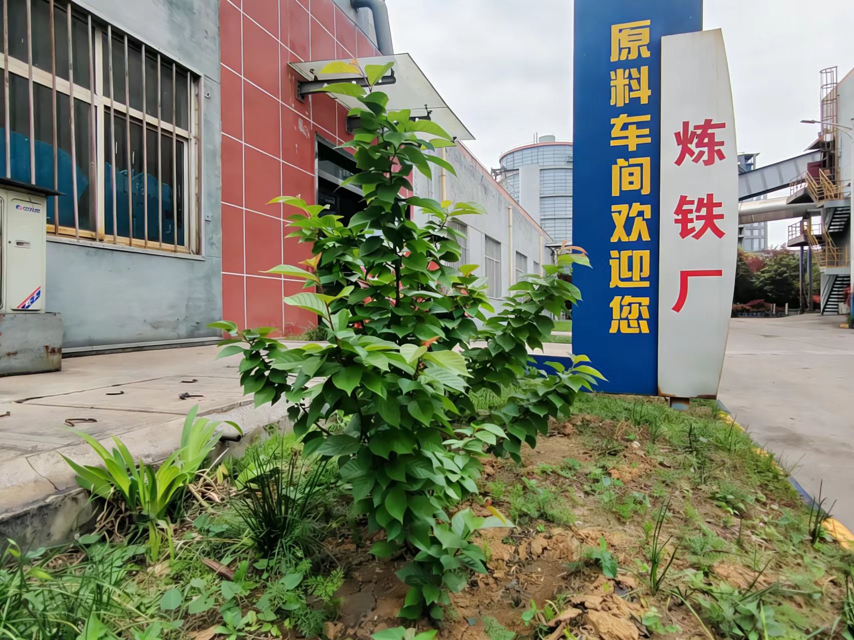 一树春分念故人 一树春分念故人