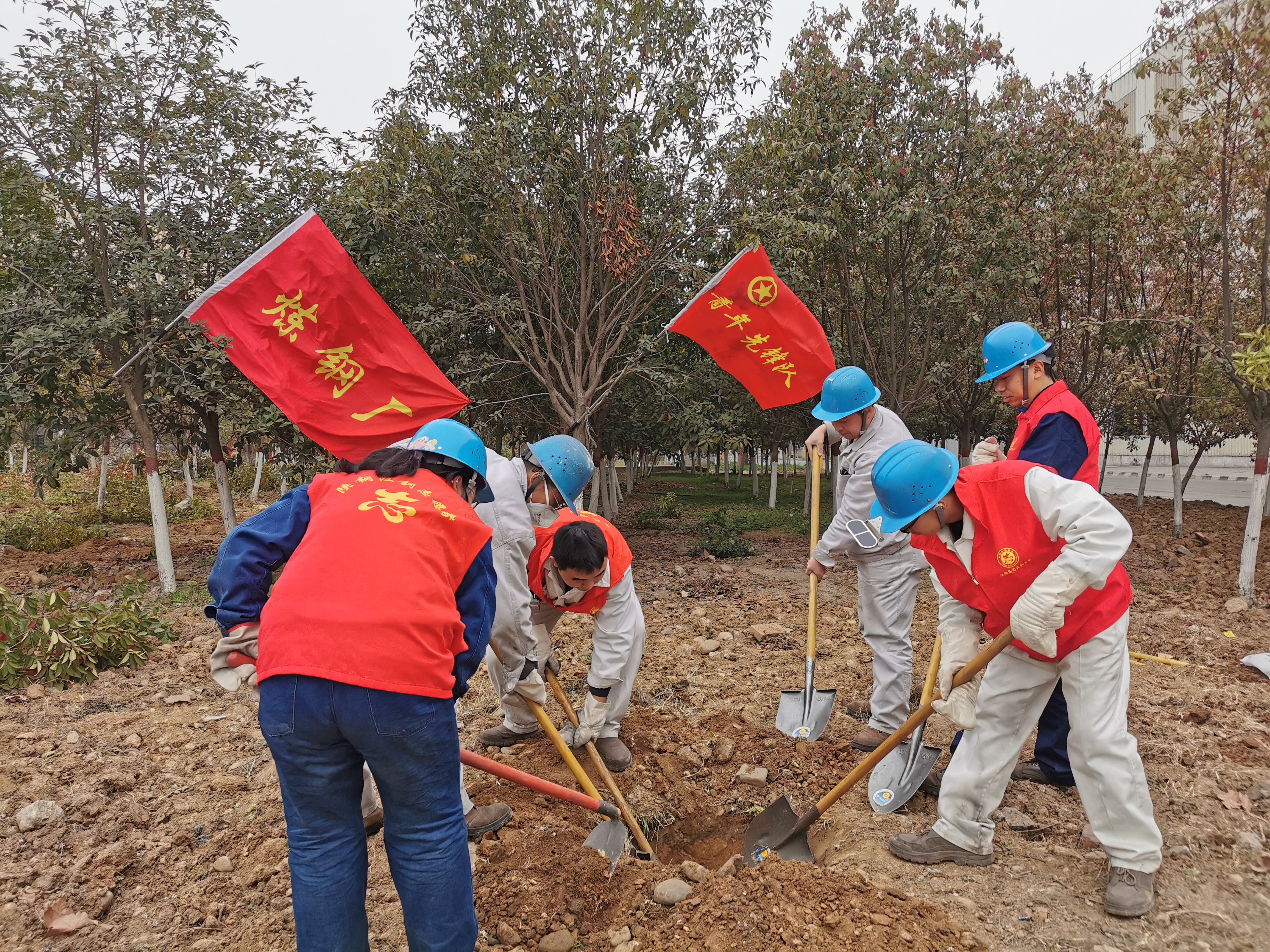 以青春之名 赴志愿之约 ——记陕钢集团2023-2025年度优秀青年志愿服务队 以青春之名 赴志愿之约 ——记陕钢集团2023-2025年度优秀青年志愿服务队