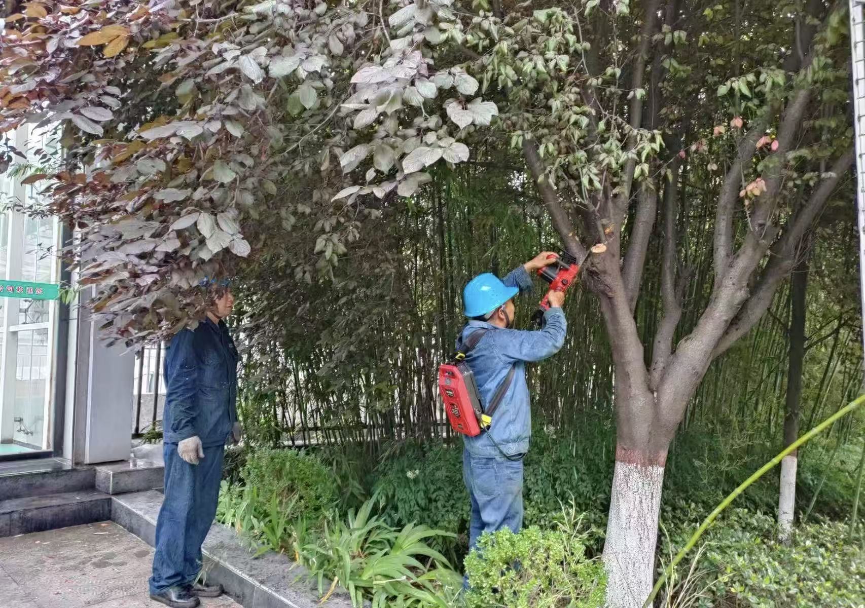 安全生产月 我们在行动