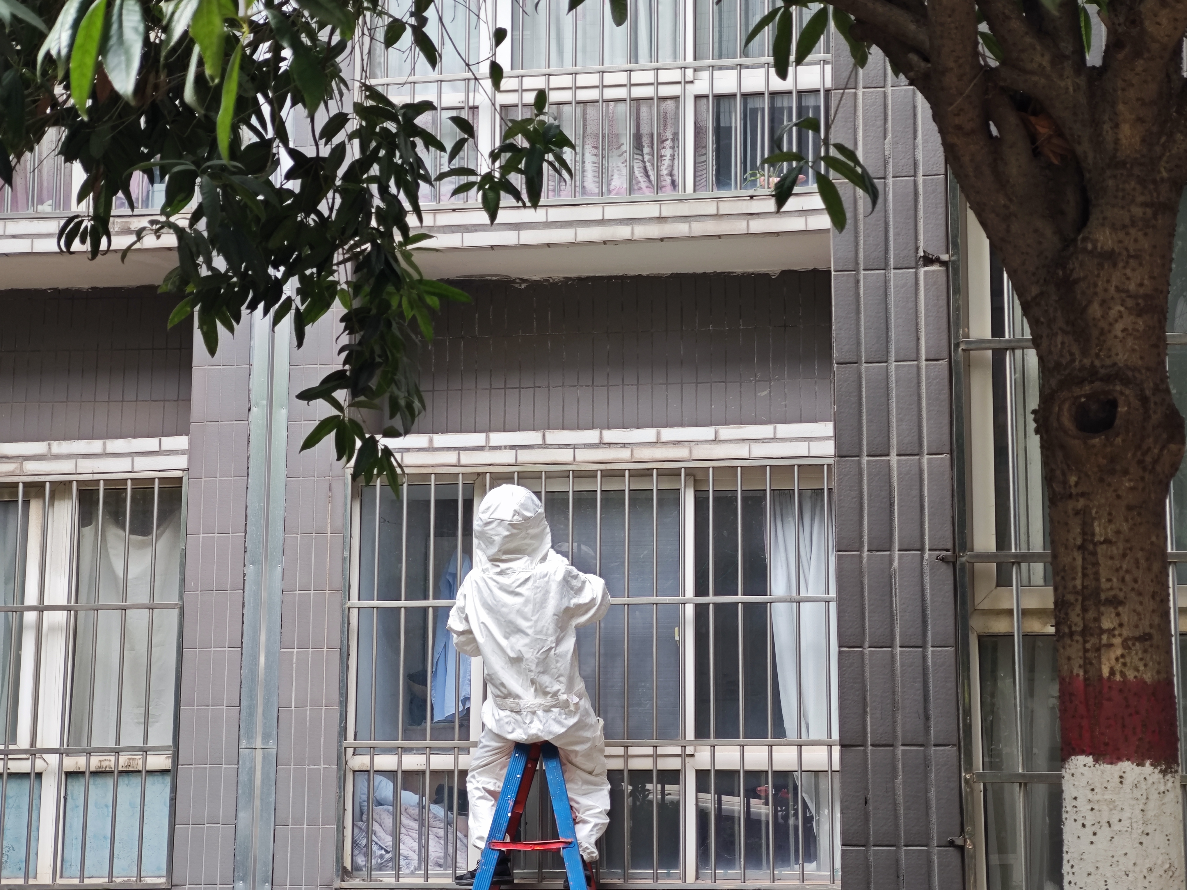 酷暑“蜂”险来袭!公司专职消防队硬核清巢保生产 酷暑“蜂”险来袭!公司专职消防队硬核清巢保生产