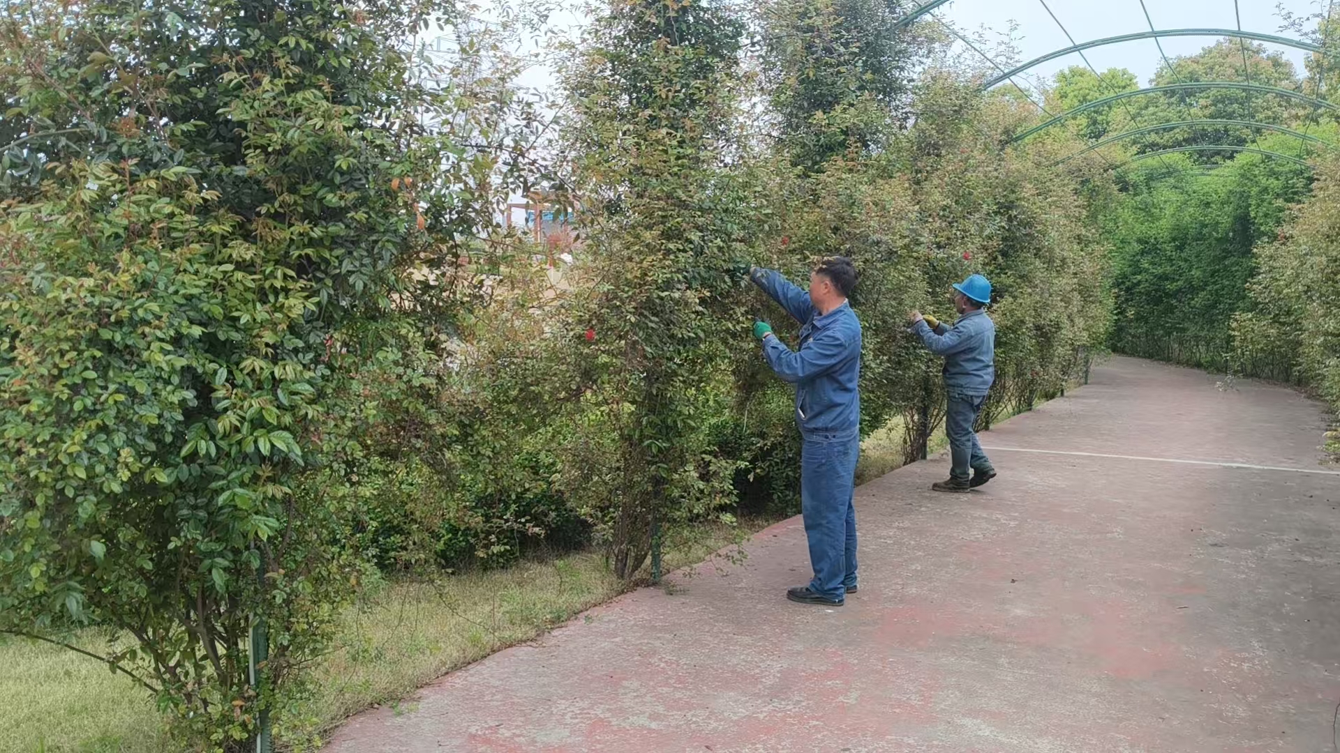 绿色钢城的守护者