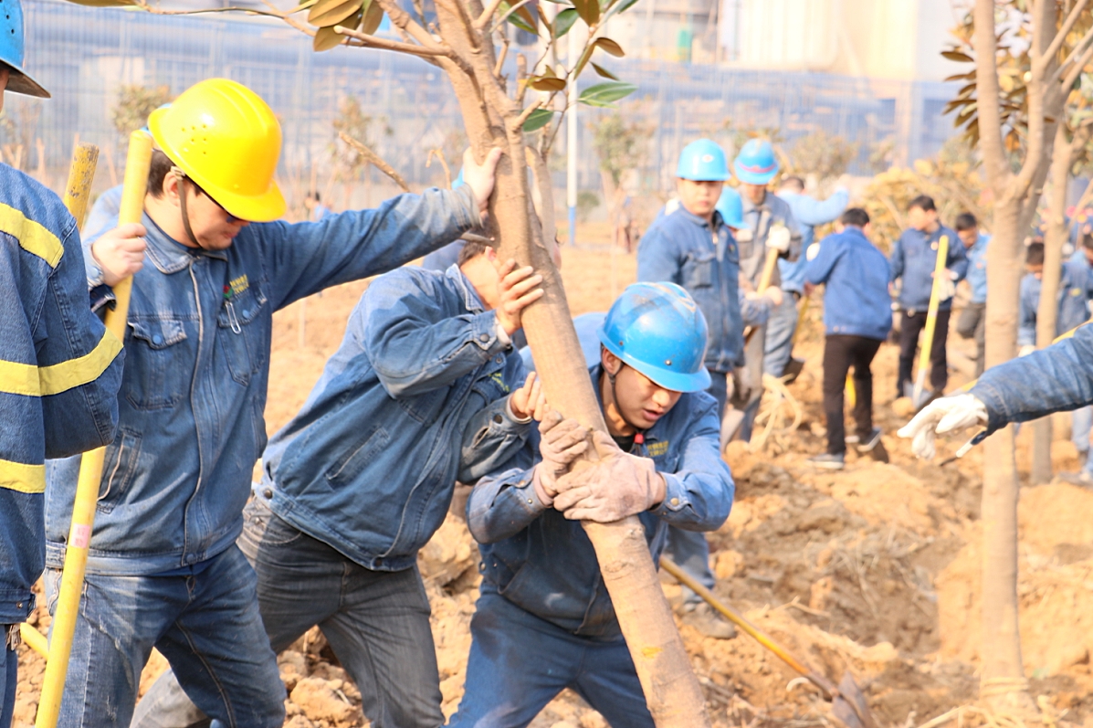 汉钢公司掀起“美丽汉钢,你我共创”扩绿行动 汉钢公司掀起“美丽汉钢,你我共创”扩绿行动