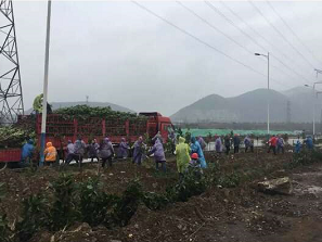 【美丽汉钢】披绿行动在三月 【美丽汉钢】披绿行动在三月