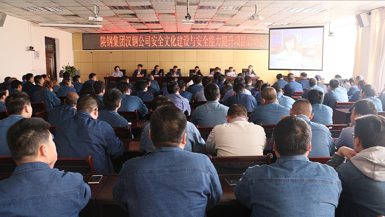 公司召开安全文化建设与安全能力提升项目启动会 公司召开安全文化建设与安全能力提升项目启动会