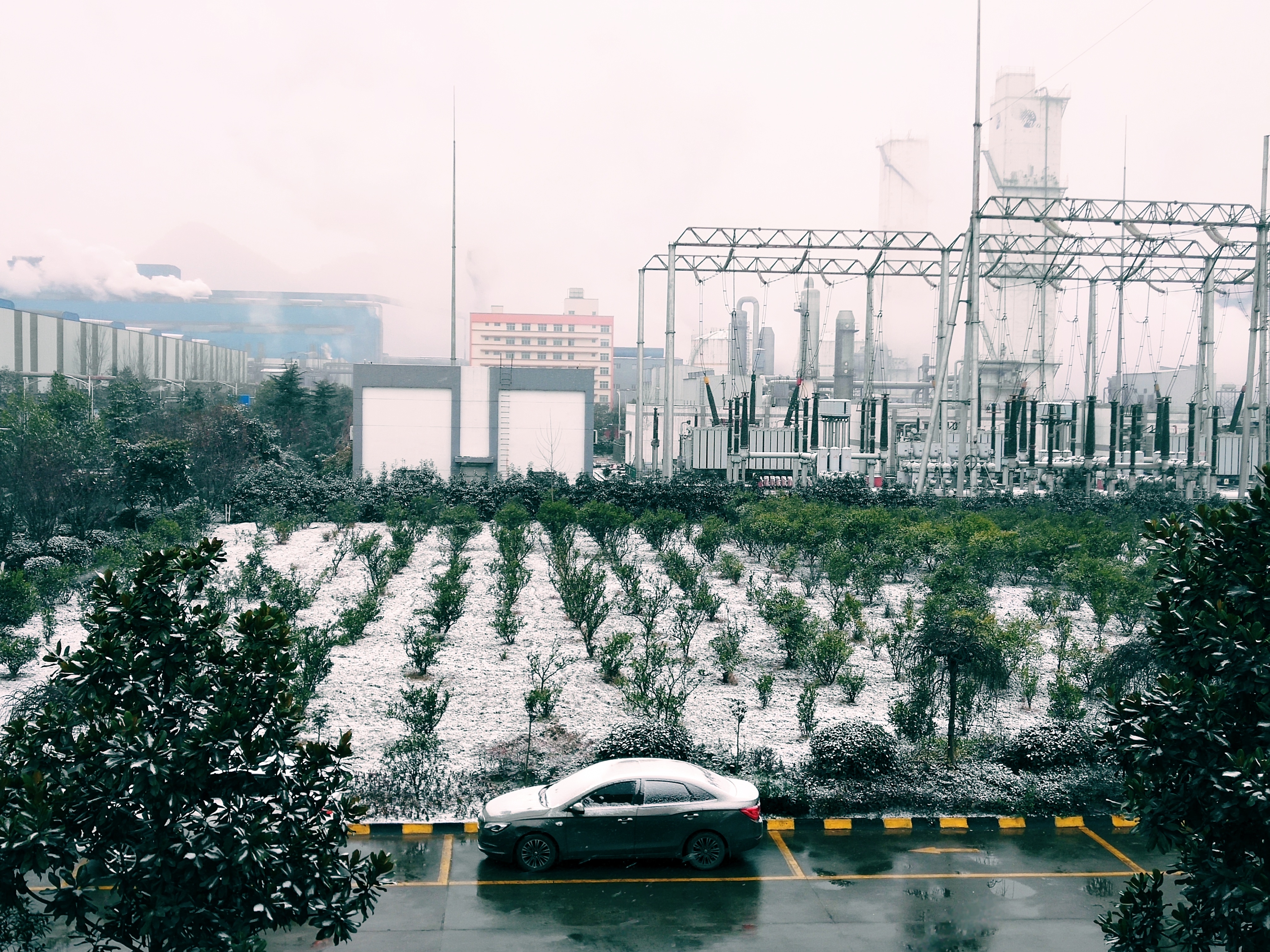 【钢城文苑】映帘窗雪