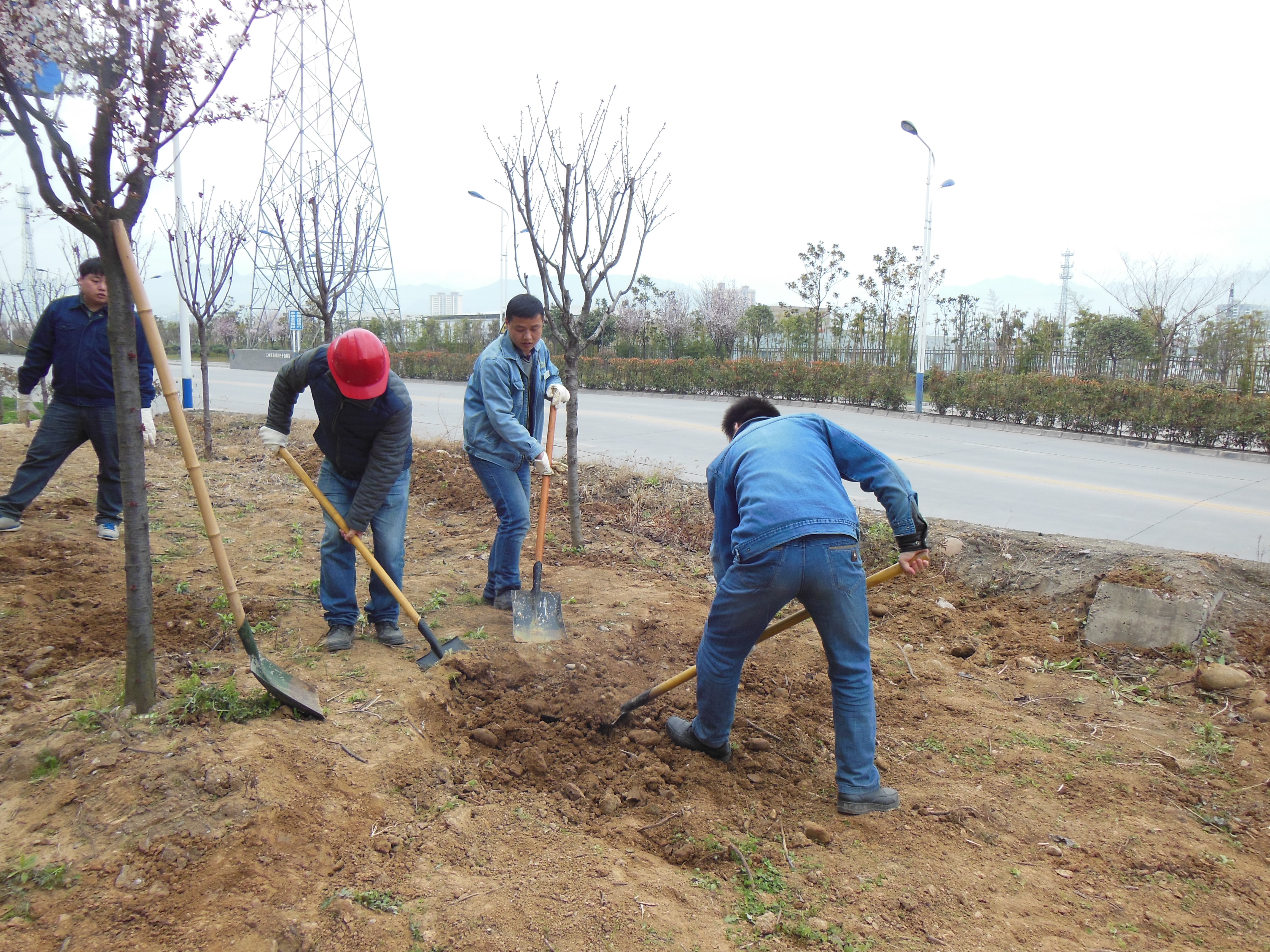 【美丽汉钢】物流中心党委以实际行动落实“美丽汉钢”创建