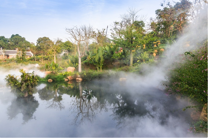 【钢城文苑】许飞琼 【钢城文苑】许飞琼