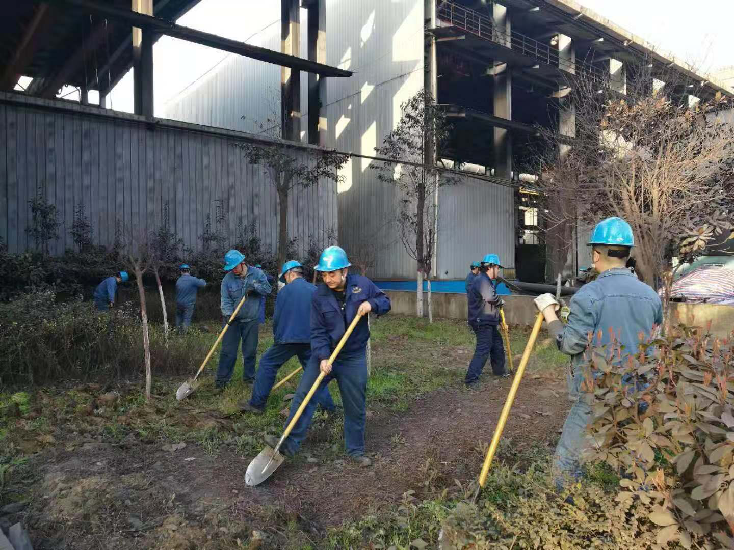 【美丽汉钢】让员工在绿色和繁花中徜徉——陕钢集团汉钢公司组织爱绿护绿活动