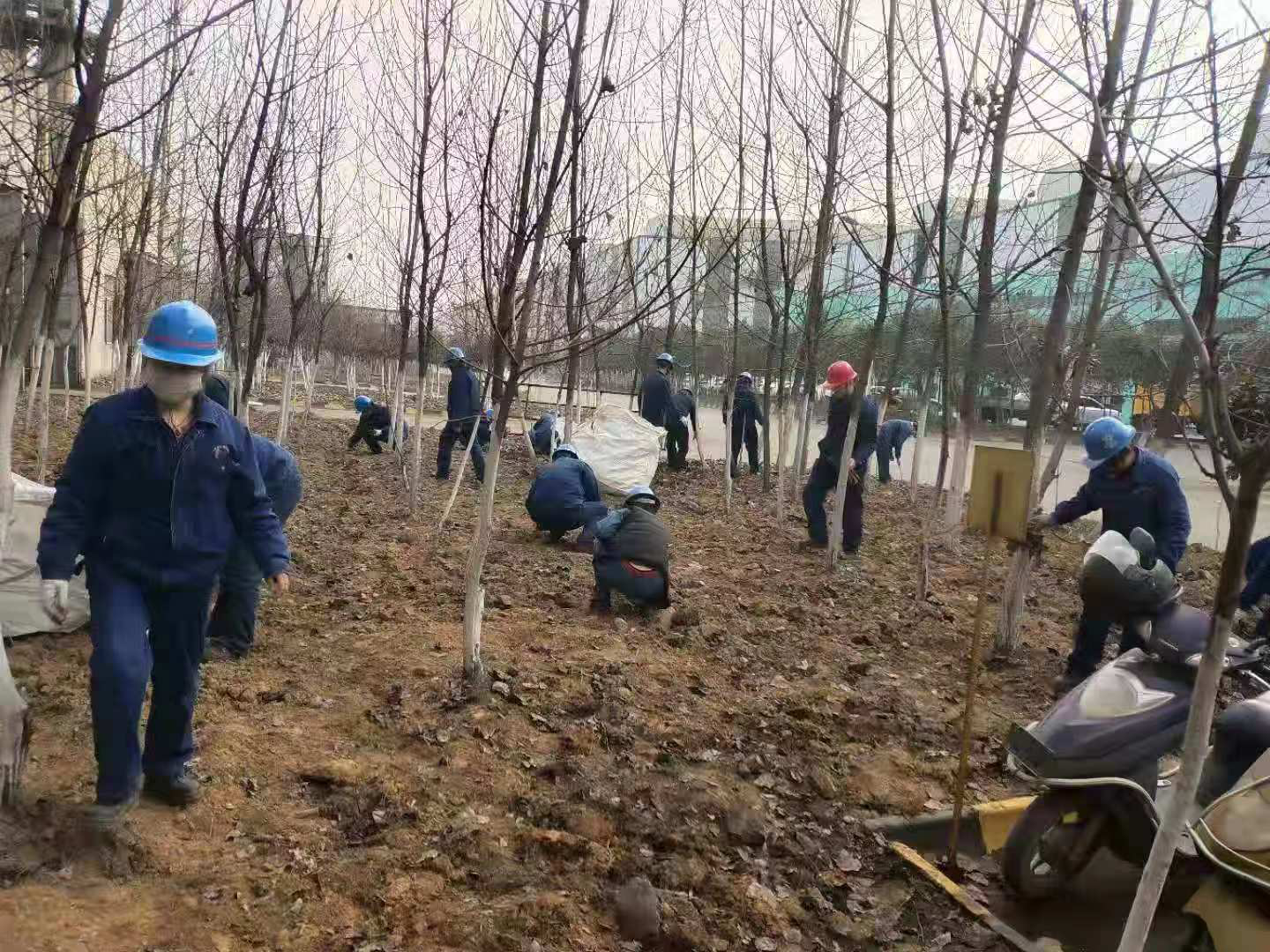 【美丽汉钢】让员工在绿色和繁花中徜徉——陕钢集团汉钢公司组织爱绿护绿活动 【美丽汉钢】让员工在绿色和繁花中徜徉——陕钢集团汉钢公司组织爱绿护绿活动
