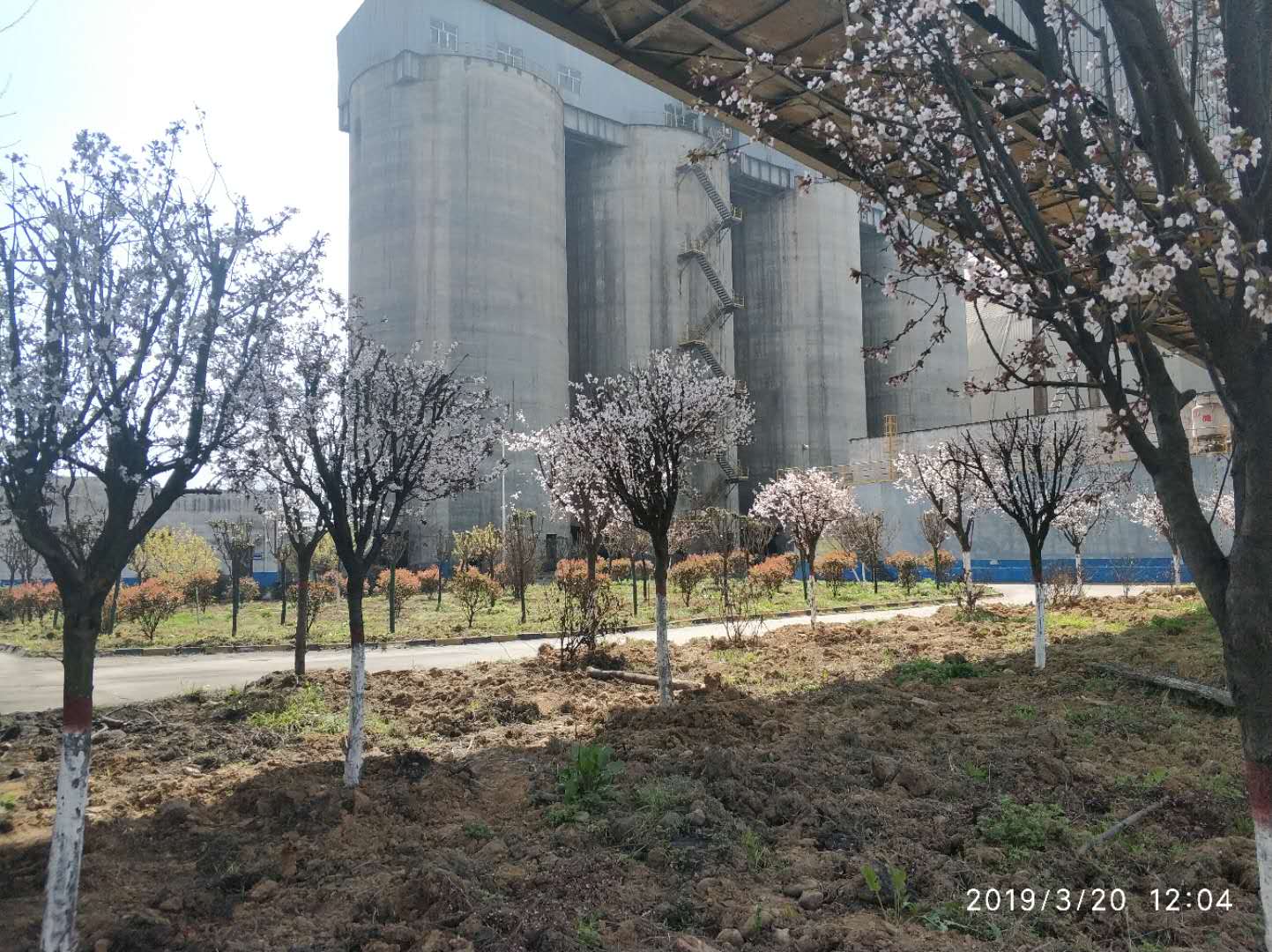 【钢城文苑】化蝶振翅 追梦前行