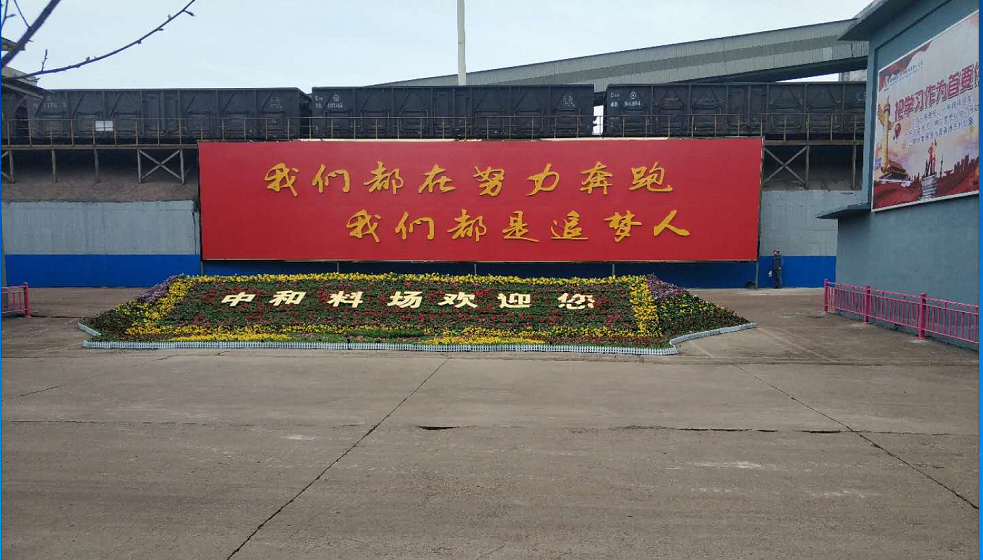 【钢城文苑】化蝶振翅 追梦前行