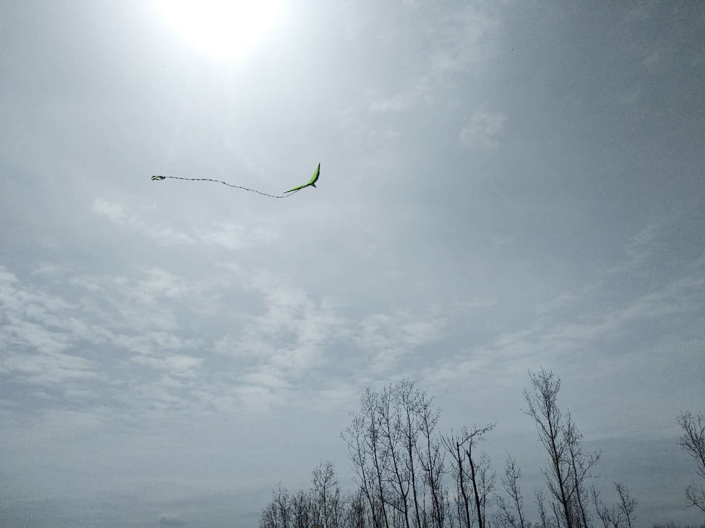 【钢城文苑】有始有终 美在中途 【钢城文苑】有始有终 美在中途