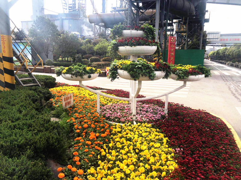 【美丽汉钢】美翻了,一起到汉钢来赏花! 【美丽汉钢】美翻了,一起到汉钢来赏花!