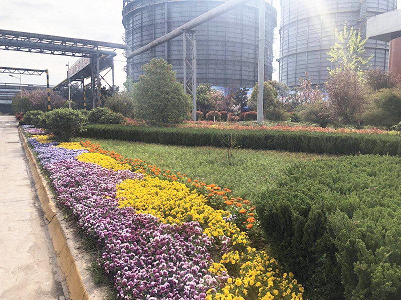 【美丽汉钢】美翻了,一起到汉钢踏春观花吧! 【美丽汉钢】美翻了,一起到汉钢踏春观花吧!